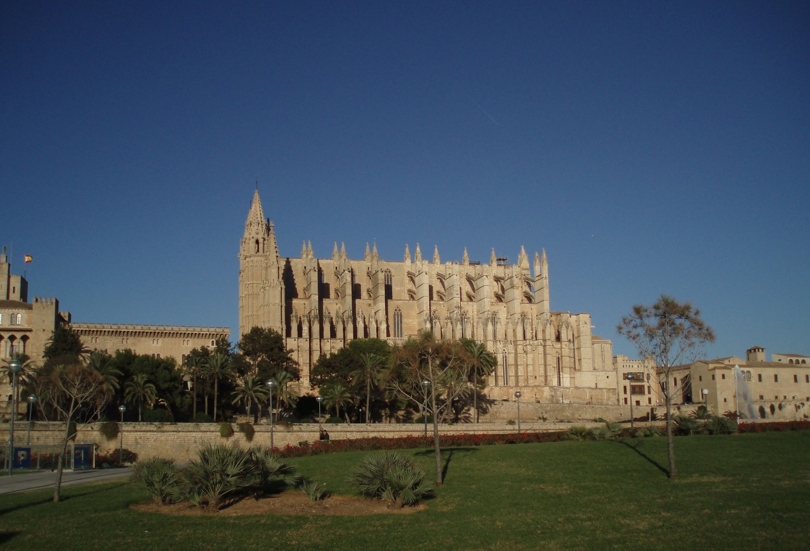 nature, building, no people, copy space, ancient, tree, mallorca, ancient civilization, plant, palma, church, spain, architecture, blue, clear sky, 2K, HD Wallpaper