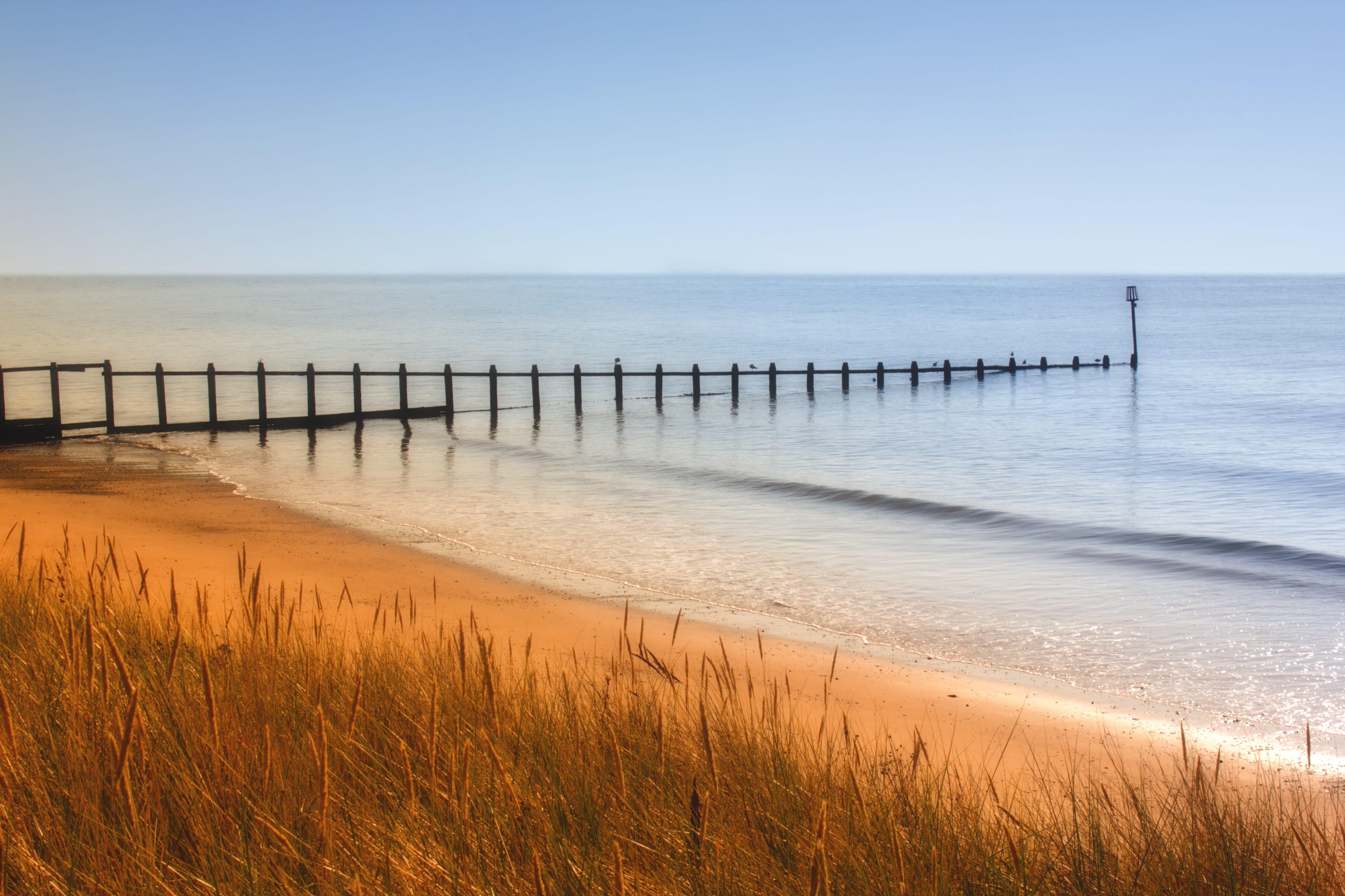 coastal, golden, oceanshore, seascape, wood - material, coast, travel, summer, 5K, land, day, scenics - nature, sea, ocean, idyllic, wooden post, Dawlish Warren, HD Wallpaper