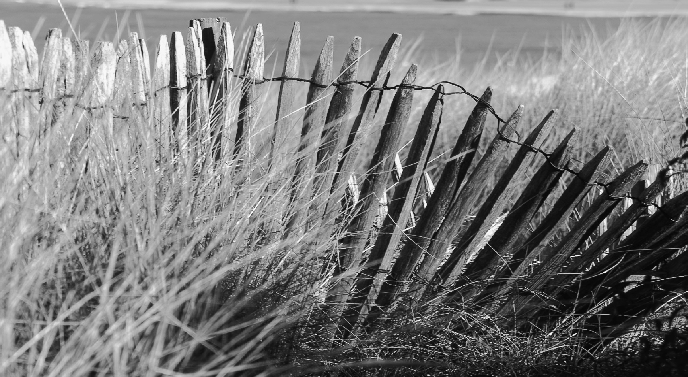 ocean, nature, boundary, side, land, grass, tranquil scene, protections, landscape, seaside, tranquility, france, fence, rural scene, beauty in nature, HD Wallpaper