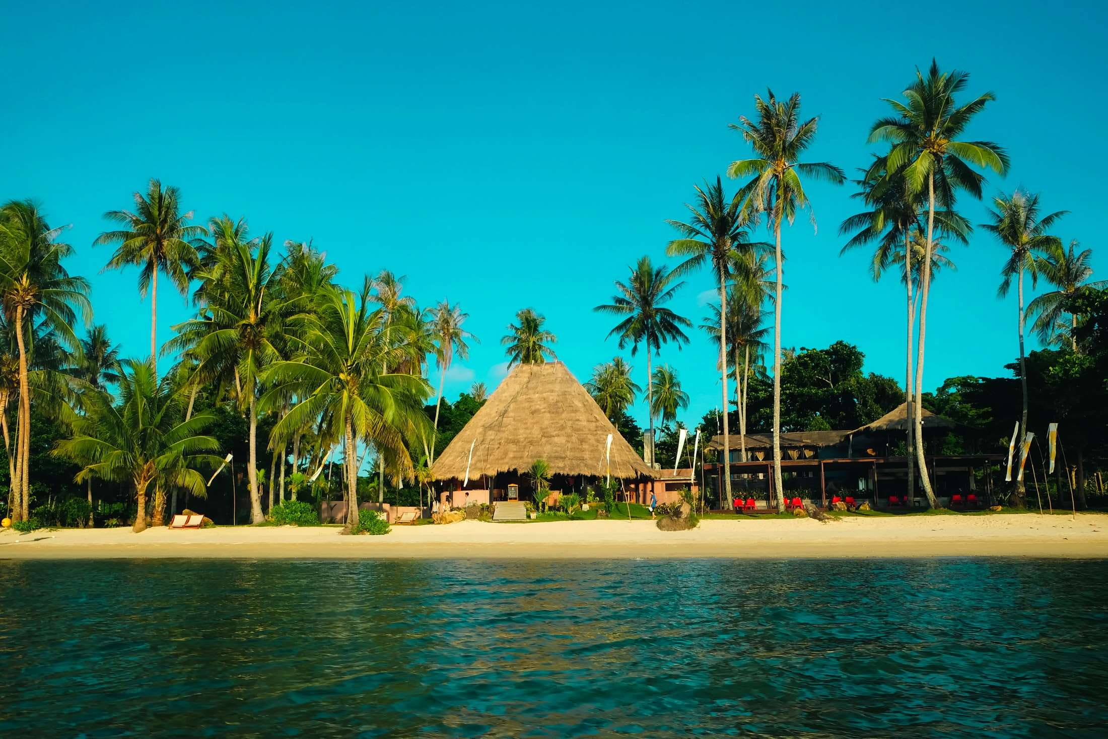 travel, huts, palm trees, holiday, architecture, paradise, sea, oceanside, tropical climate, outdoors, built structure, swimming pool, travel destinations, HD Wallpaper
