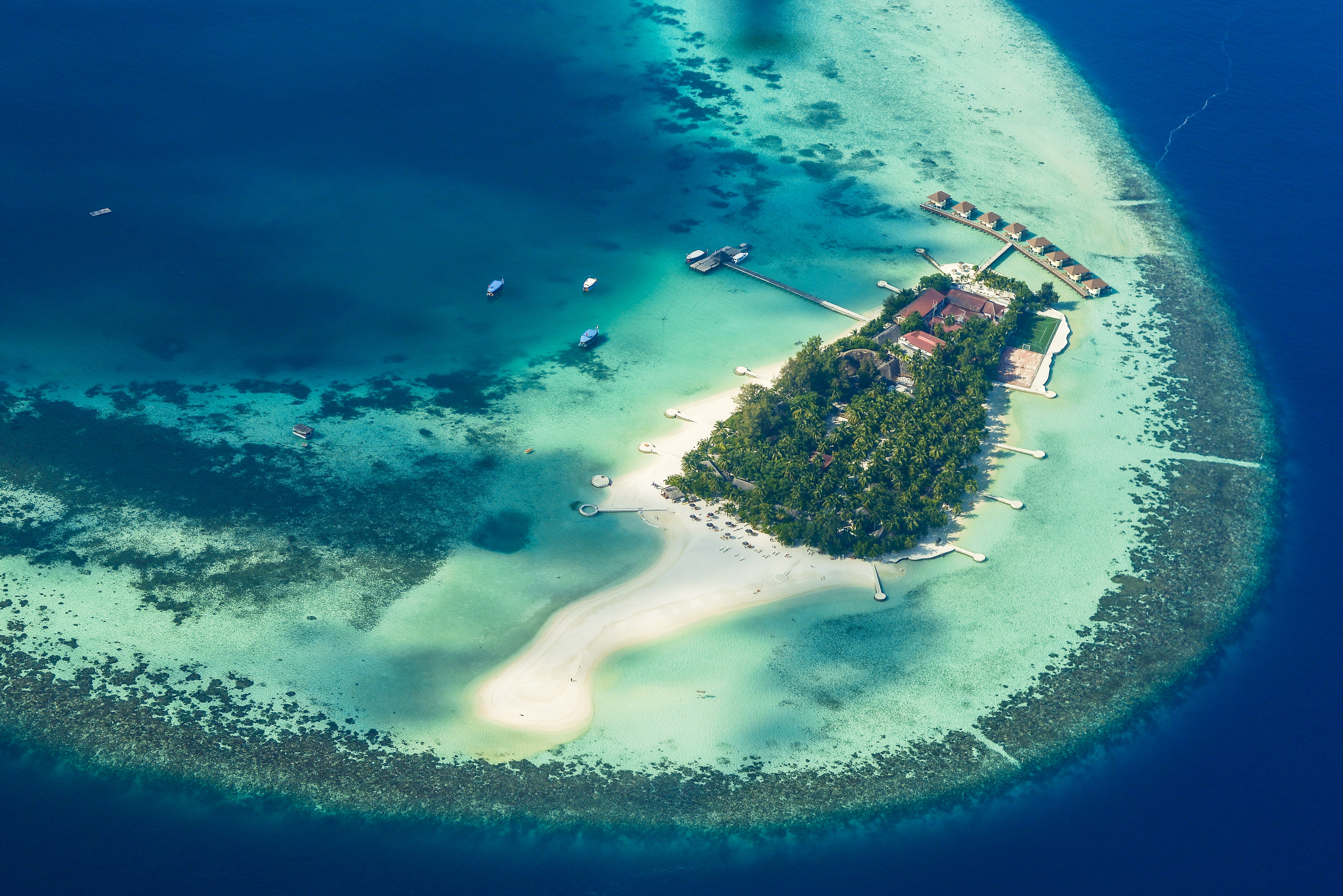birds eye view, sea life, nature, view, adventure, blue, underwater, outdoors, beach, drone photography, high angle view, surf, environment, HD Wallpaper