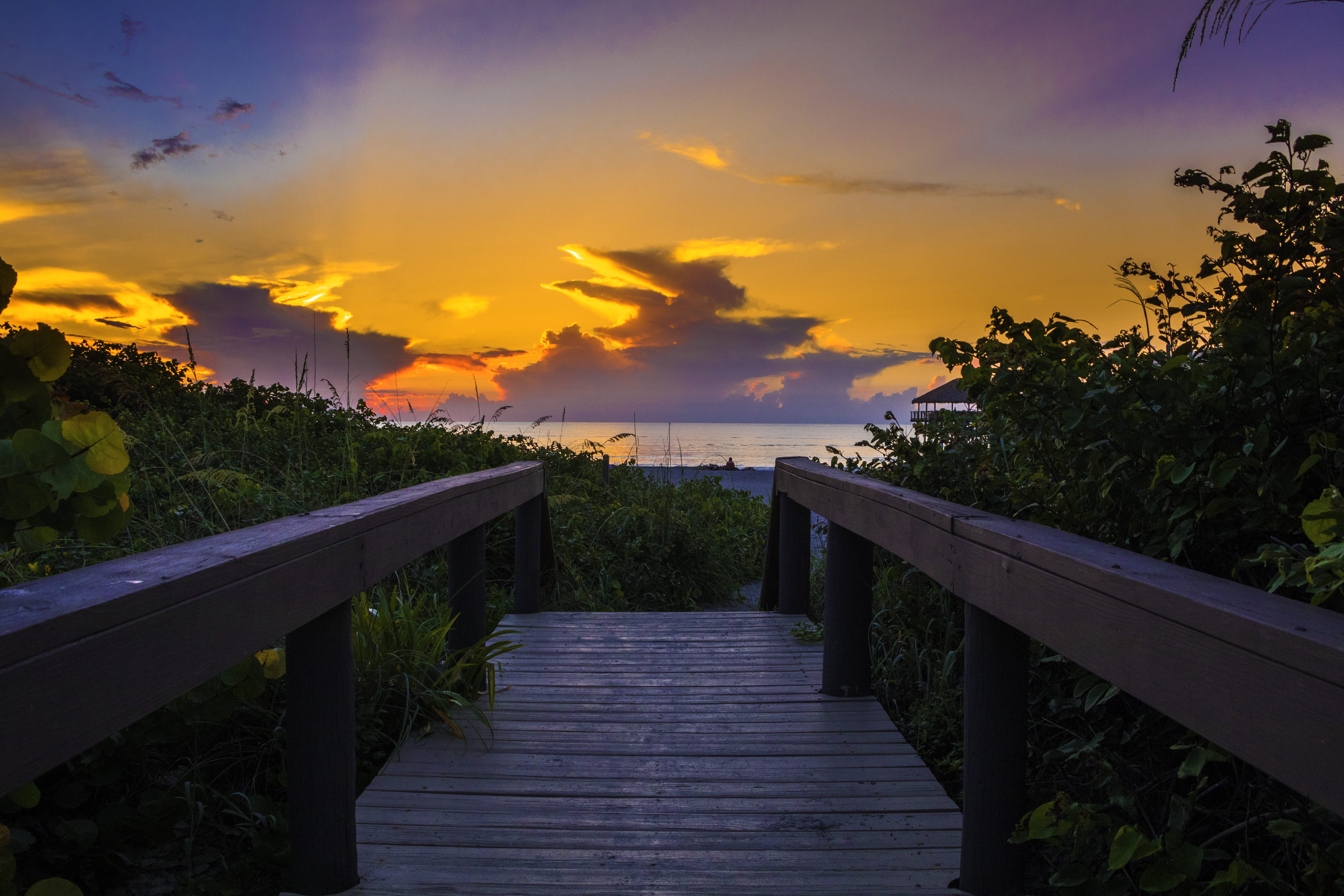 water, wood - material, idyllic, sky, environment, peaceful, the way forward, leaves, built structure, sunrise, outdoors, horizon over water, plant, dusk, HD Wallpaper