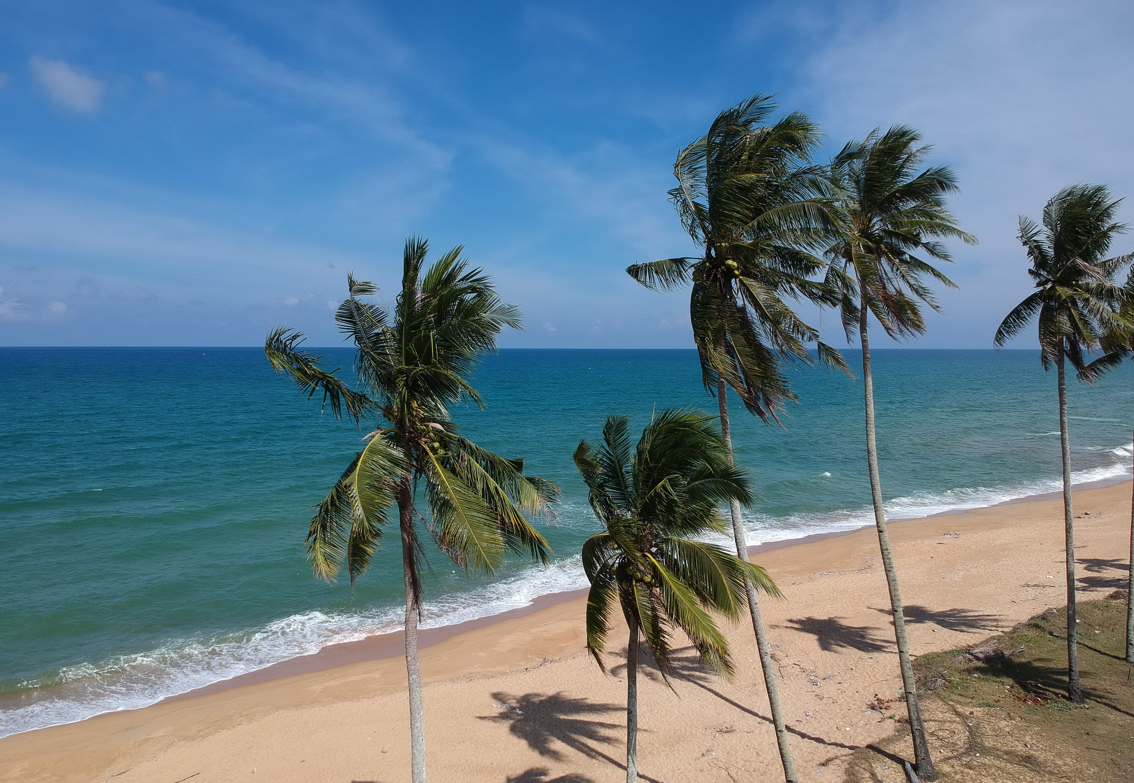 tranquility, beauty in nature, cloud - sky, coconut, nature, horizon over water, tree, tropical climate, trees, oceanside, tropical, no people, palm tree, HD Wallpaper
