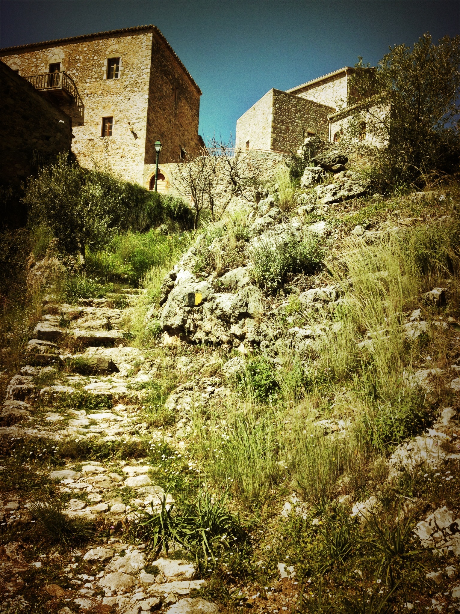 sunlight, land, no people, peloponnese, grass, outdoors, house, history, plant, old-fashioned, landscape, mediterranean, greek, footpath, travel, day, vacation, Phone HD Wallpaper