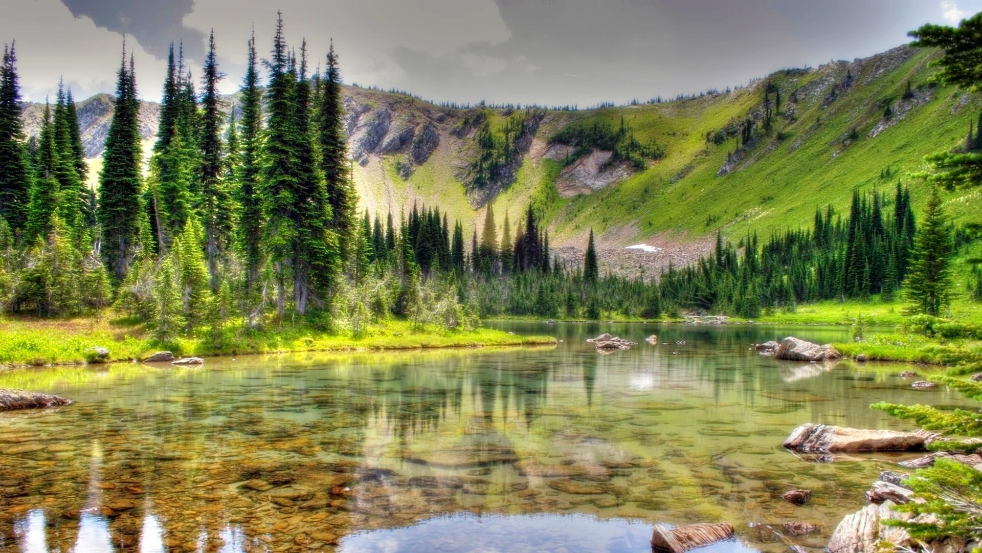 trees, crystalline, green, pines, hills, water, forest, lake, landscape, 1080P, HD Wallpaper