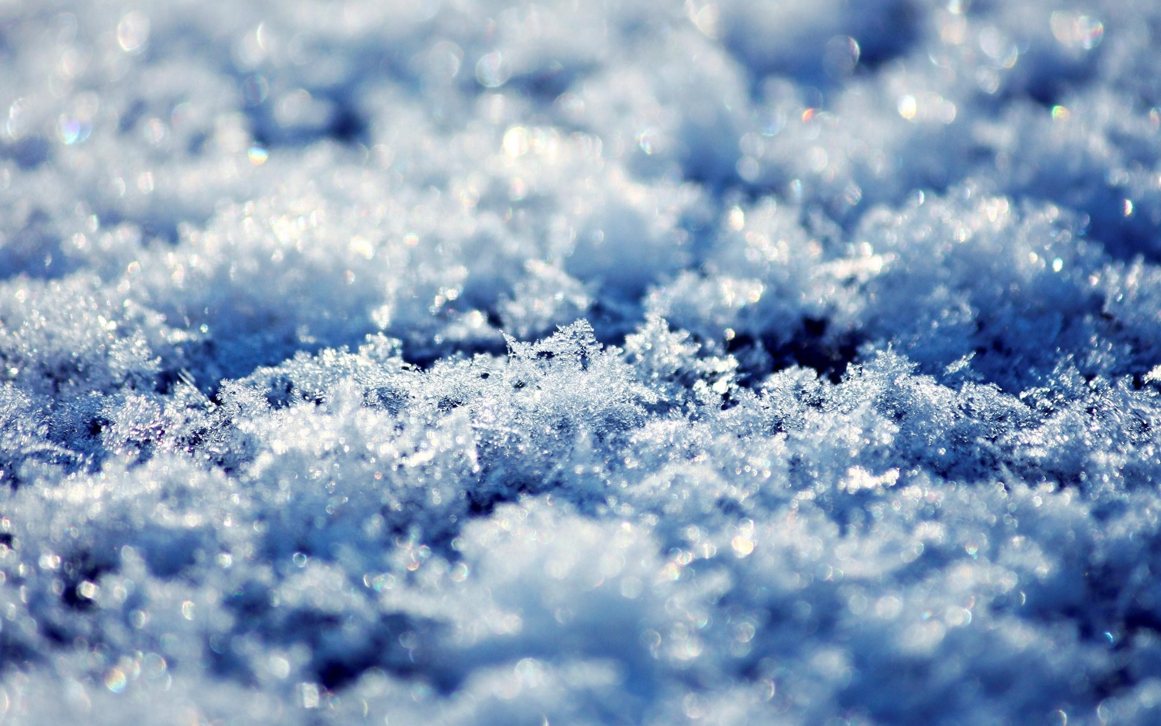 flower, ice, crystalline, 4K, HD Wallpaper