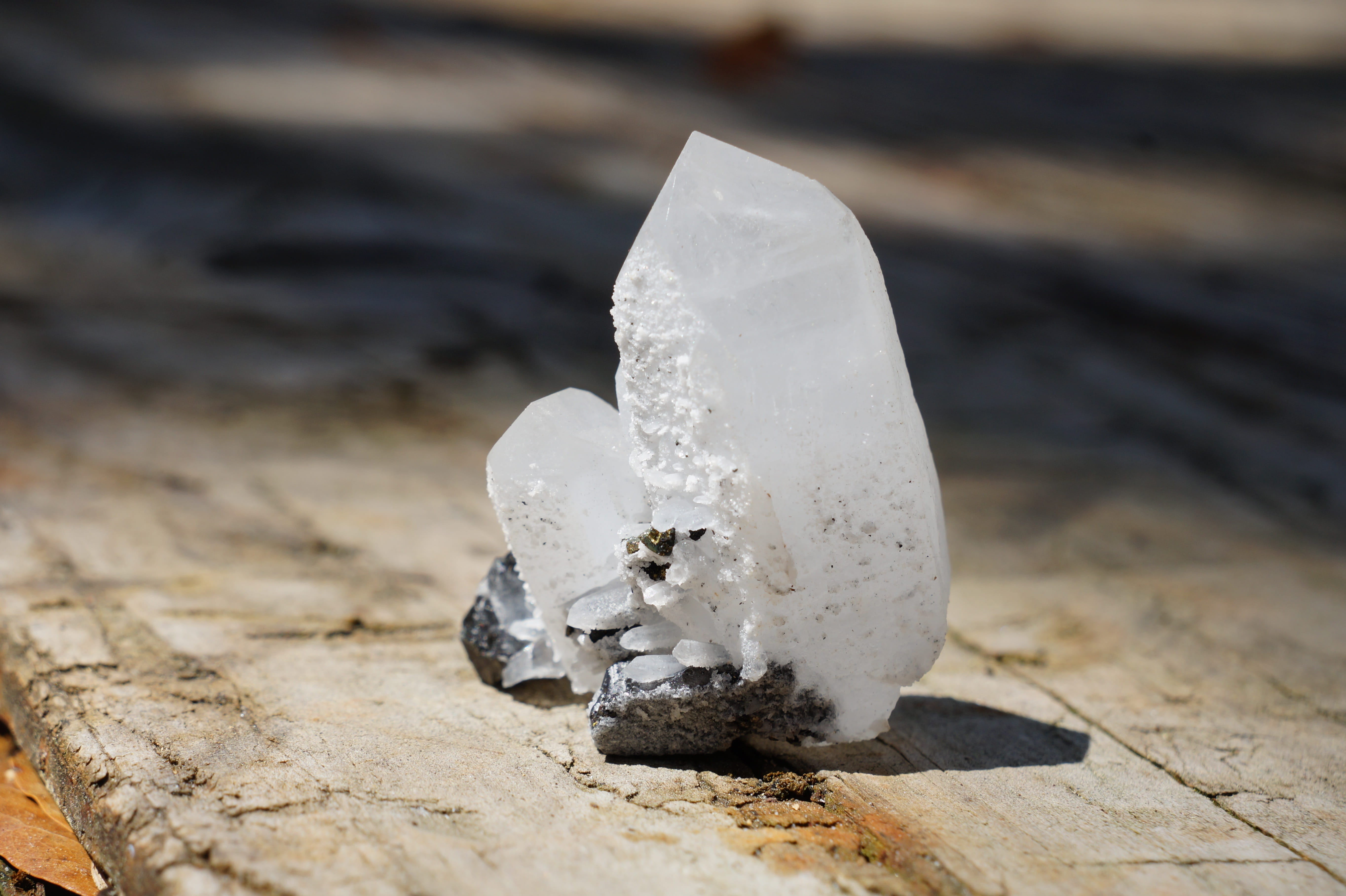 single object, no people, mineral, animal, crystalline, 5K, gemological, animal themes, gemstone, animal wildlife, crystal, white color, geology, art and craft, HD Wallpaper