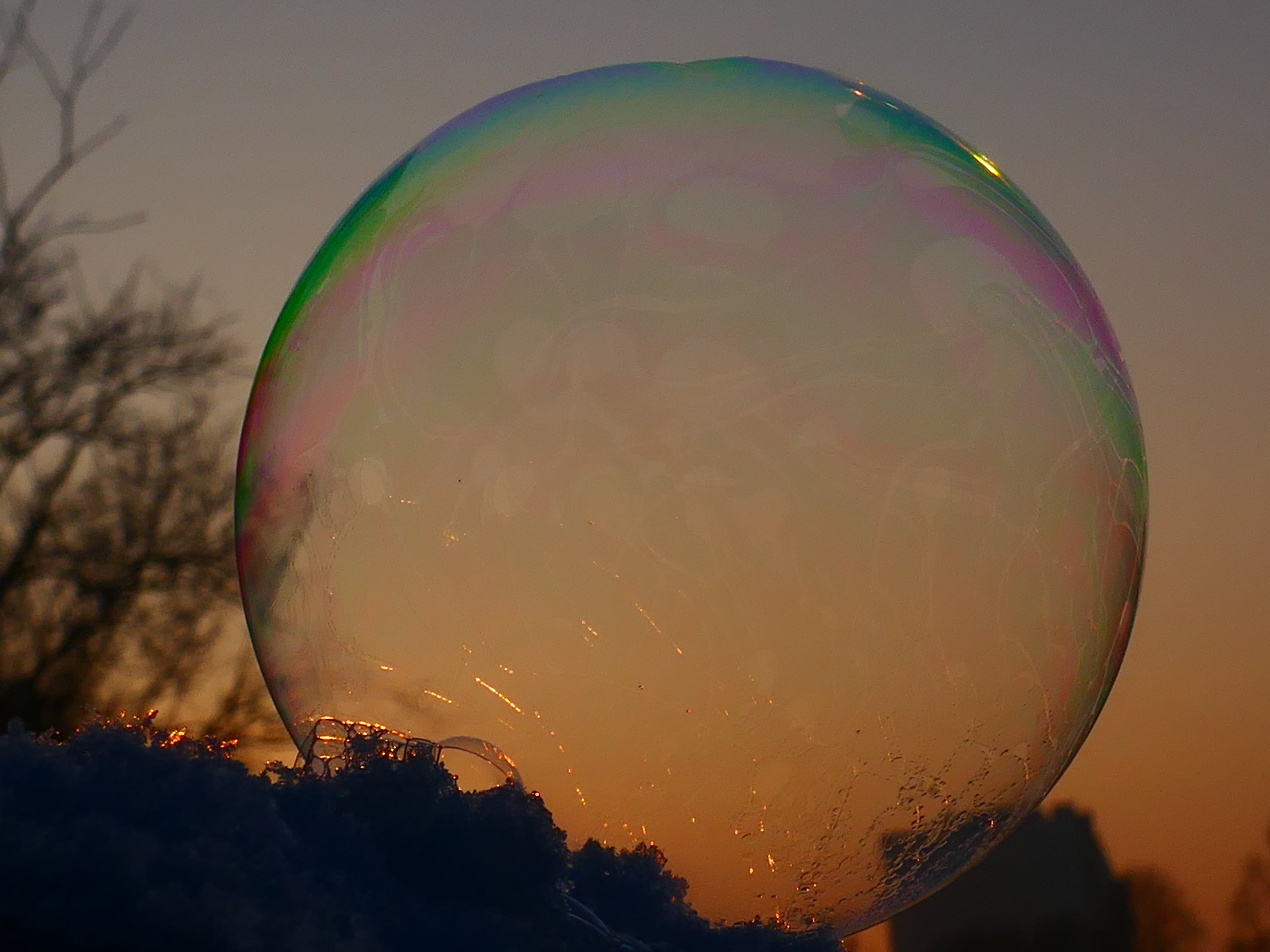 fragility, soap sud, bubble, spherical shape, back light, ice-bag, frost globe, vulnerability, snow, close-up, spherical, focus on foreground, outdoors, HD Wallpaper
