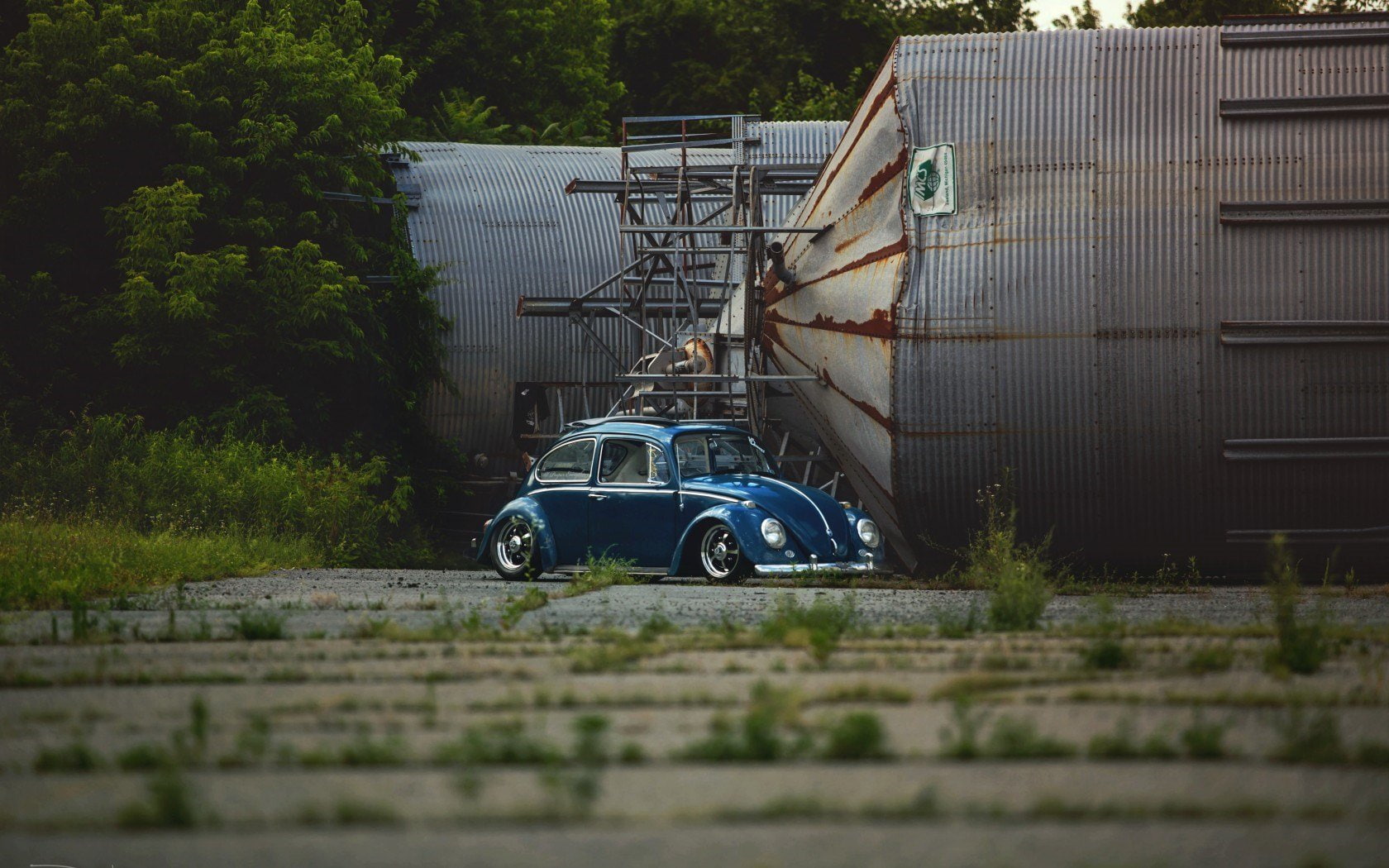 beetle, variant, fusca, 720P, bus, kombi, HD Wallpaper