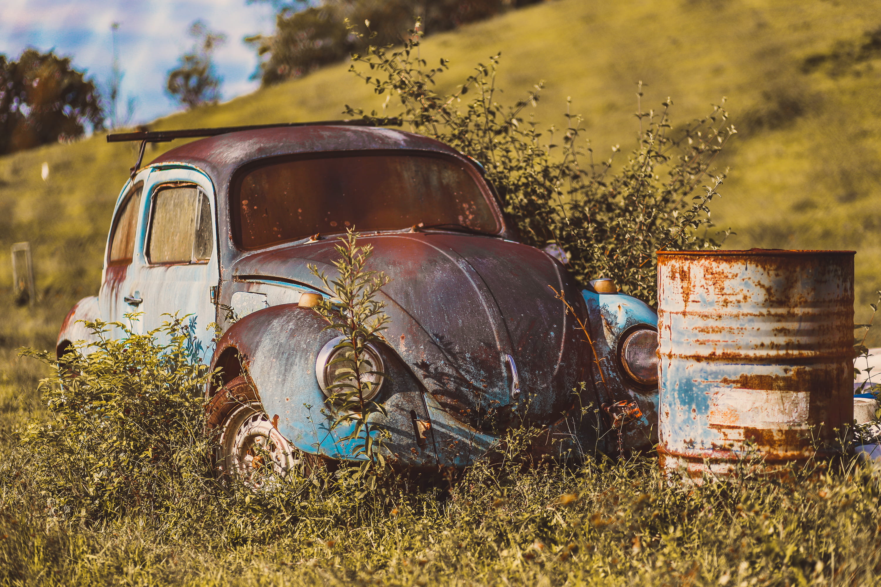 trees, junkyard, deterioration, marsilac, decline, land, old, field, motor vehicle, beetle, run-down, day, transportation, no people, car, damaged, serjosoza, HD Wallpaper