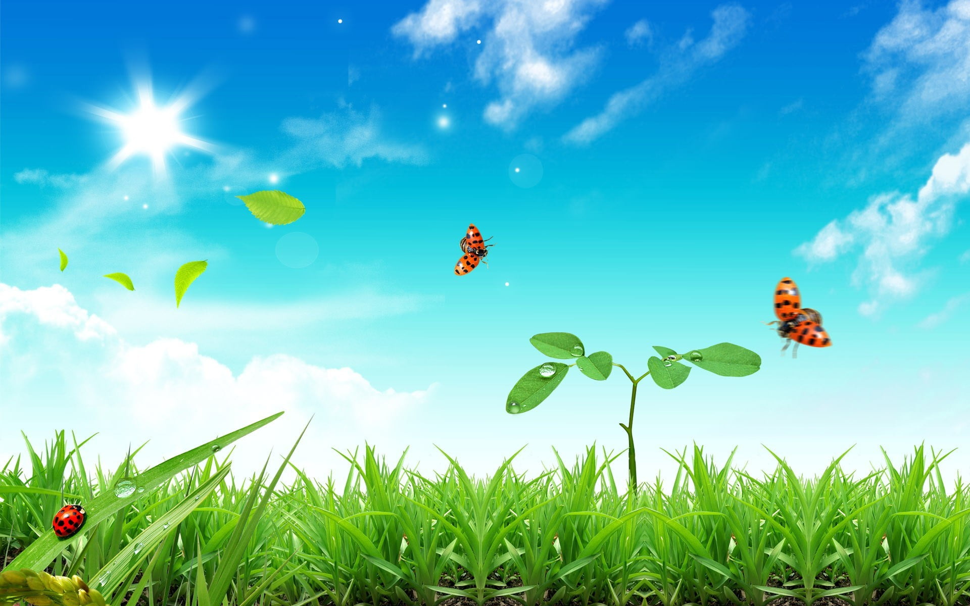 growth, blue, nature, ladybugs, beauty in nature, 1080P, outdoors, land, field, flying, three, adventure, green color, plant, day, sky, leisure activity, HD Wallpaper