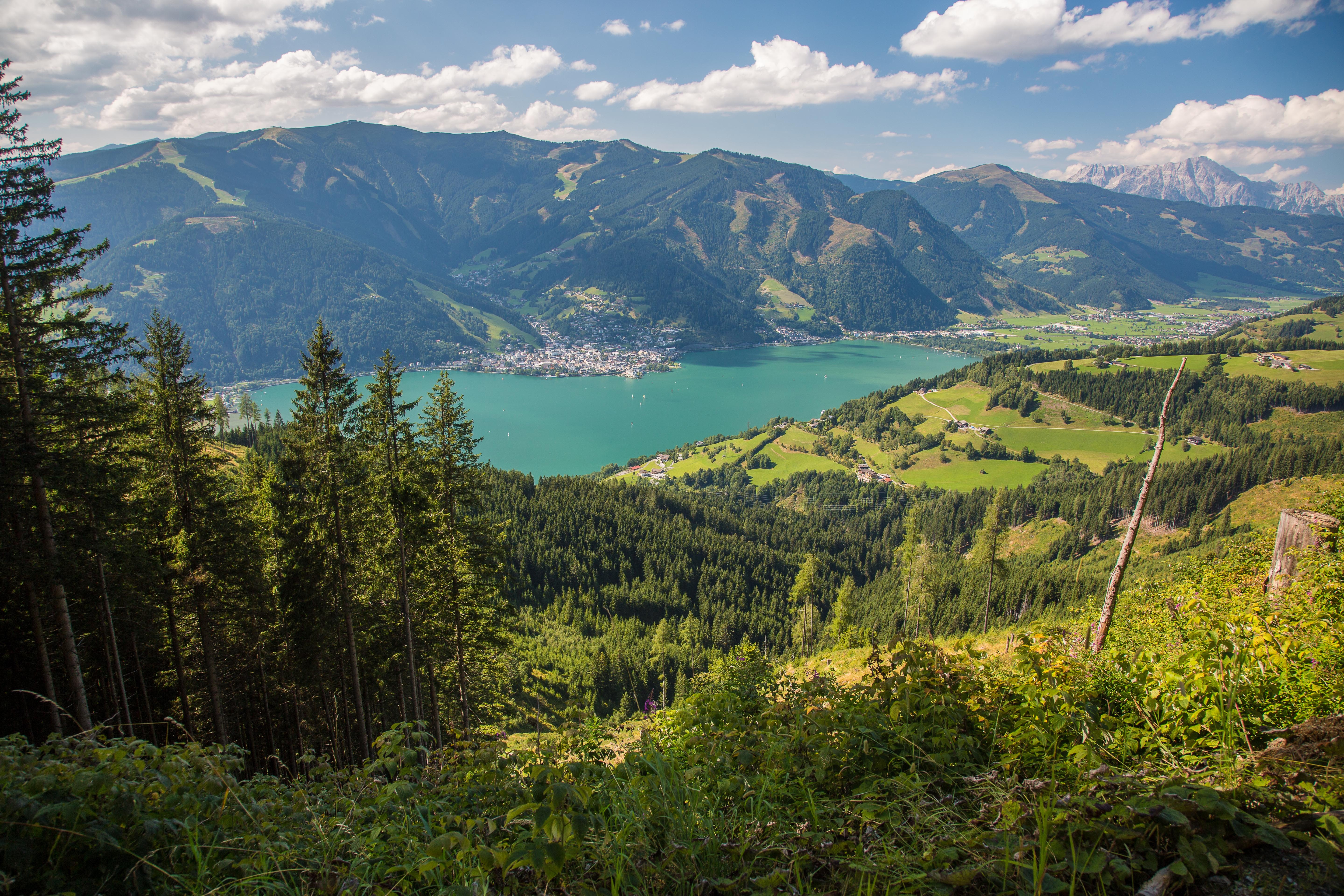tree, plant, green, scenics - nature, daytime, cloud - sky, sky, 5K, non-urban scene, kaprun, tranquil scene, green color, nature, beauty in nature, water, HD Wallpaper