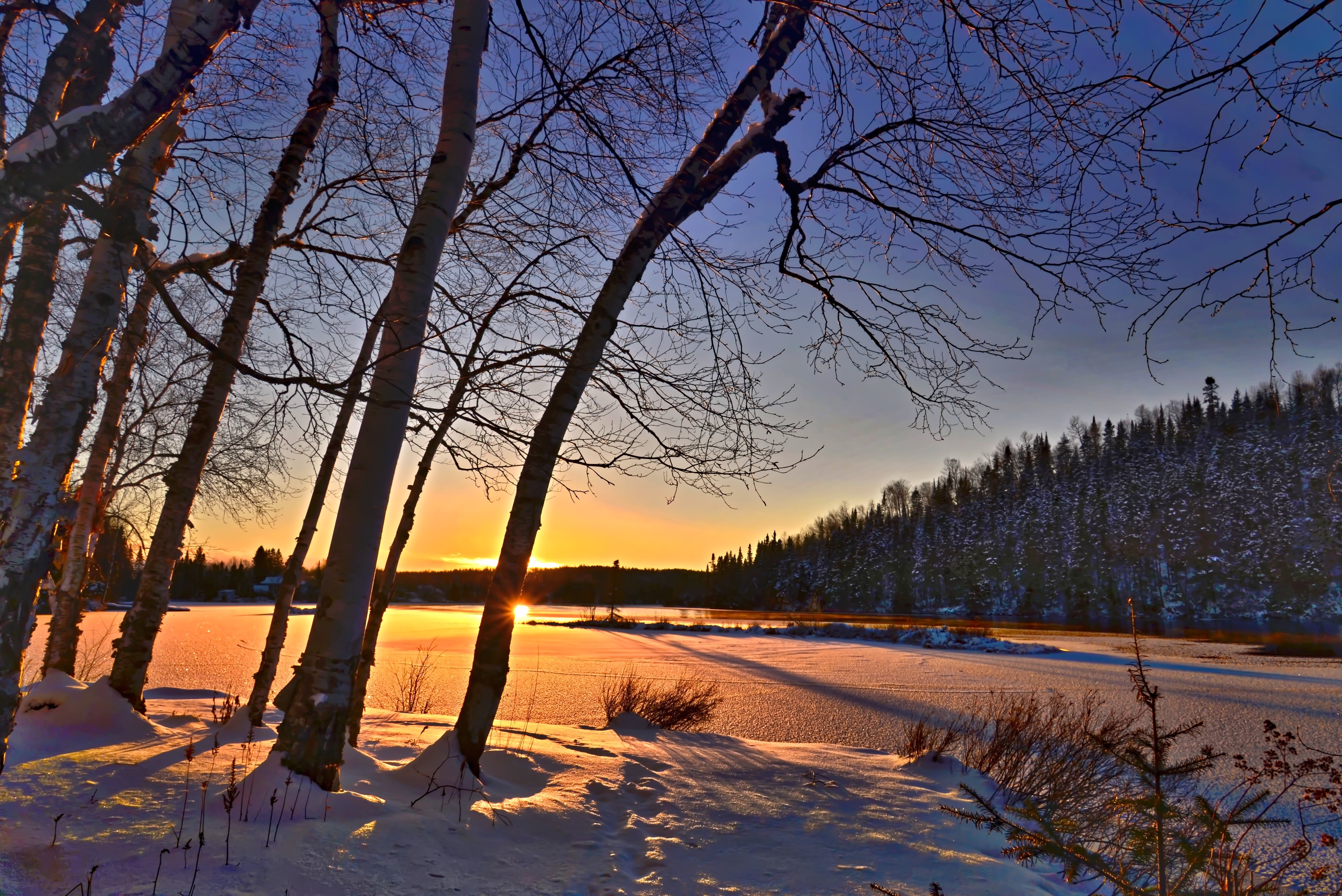 frozen, reflections, hour, colors, snowy landscape, sky, trees, contrast, frost, sunset, winter landscape, ice, no people, canada, winter, golden, birch, HD Wallpaper