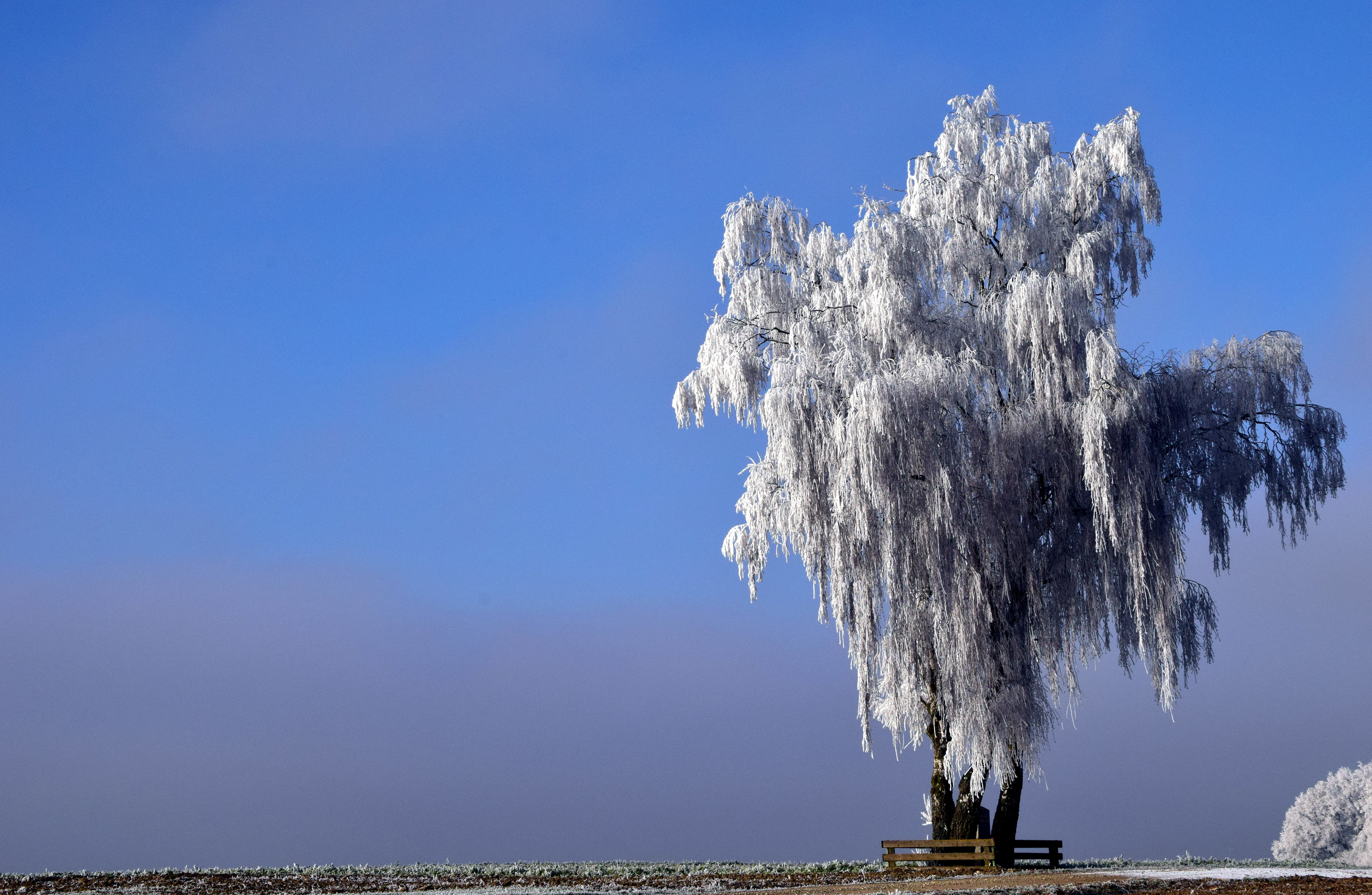 wintry, rest, mood, clear sky, leaf, beauty in nature, cold temperature, travel destinations, land, nature, sea, day, scenics - nature, no people, snowy, HD Wallpaper