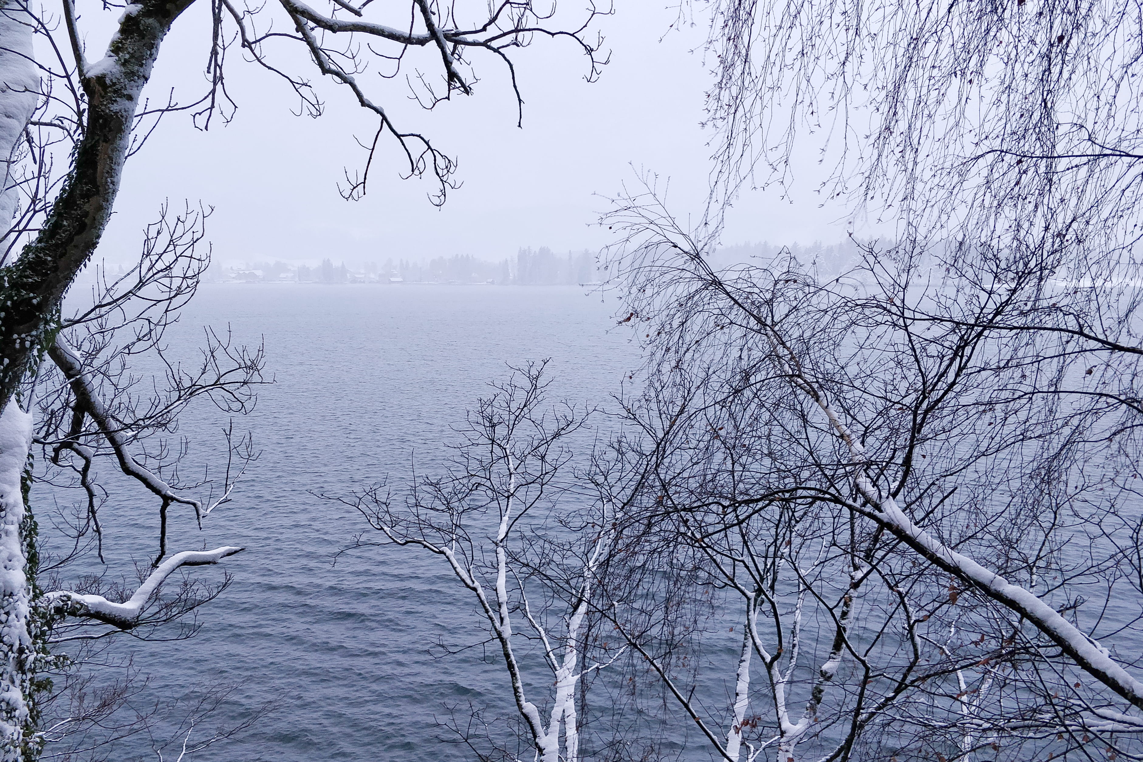 bare tree, 2K, weather, watercraft, outdoors, sankt wolfgang im salzkammergut, water, waterfront, vessel, austria, branch, nature, day, transportation, HD Wallpaper
