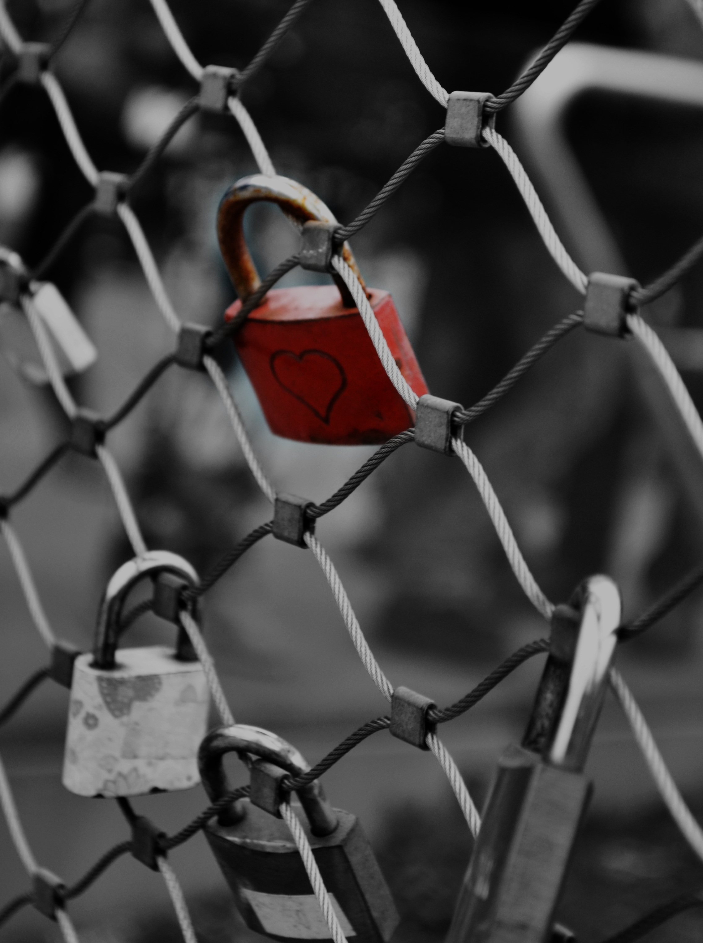 safety, boundary, close-up, chainlink fence, barrier, love, 2K, focus on foreground, castle, protection, hanging, security, metal, lock, positive emotion, Phone HD Wallpaper