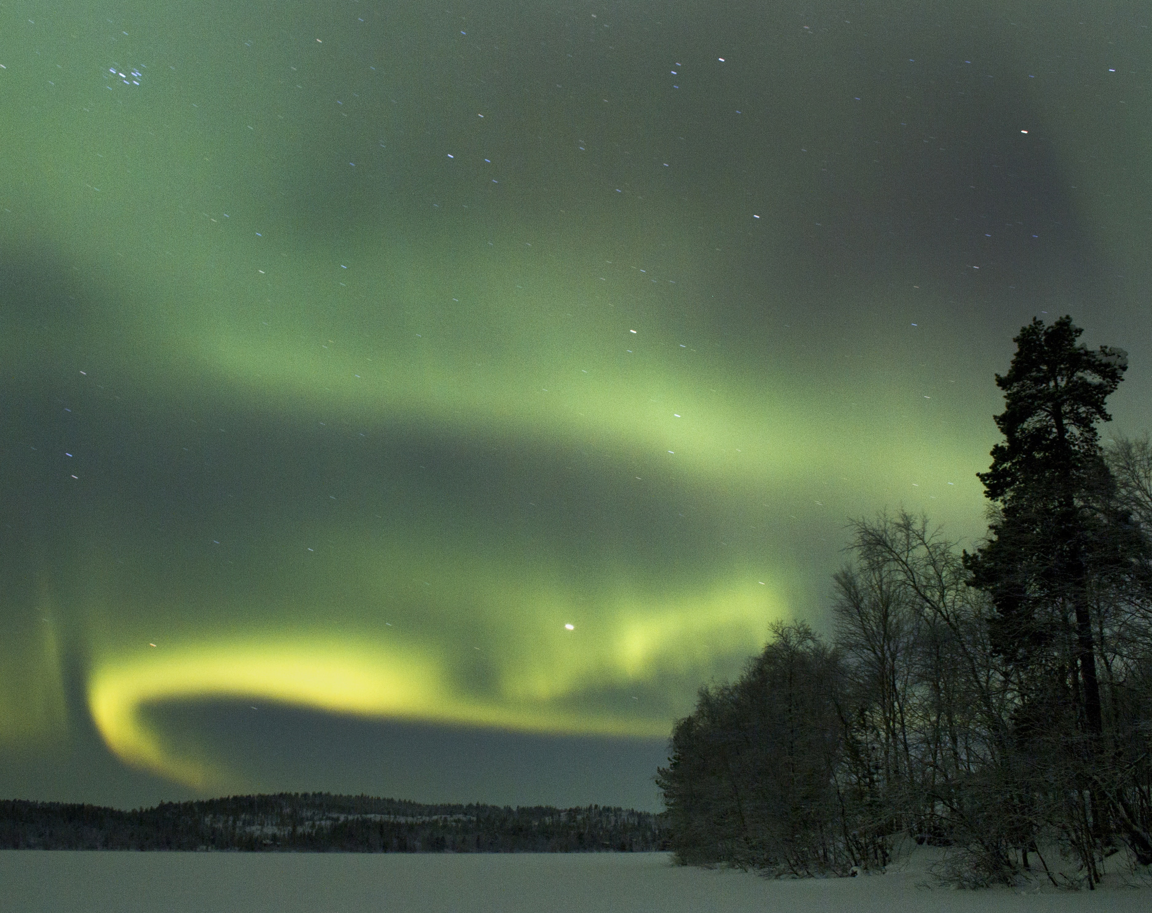 winter, Northern, star - space, green color, astronomy, Norway, tranquil scene, tranquility, sky, environment, tree, finnmarkfylke, power in nature, plant, HD Wallpaper
