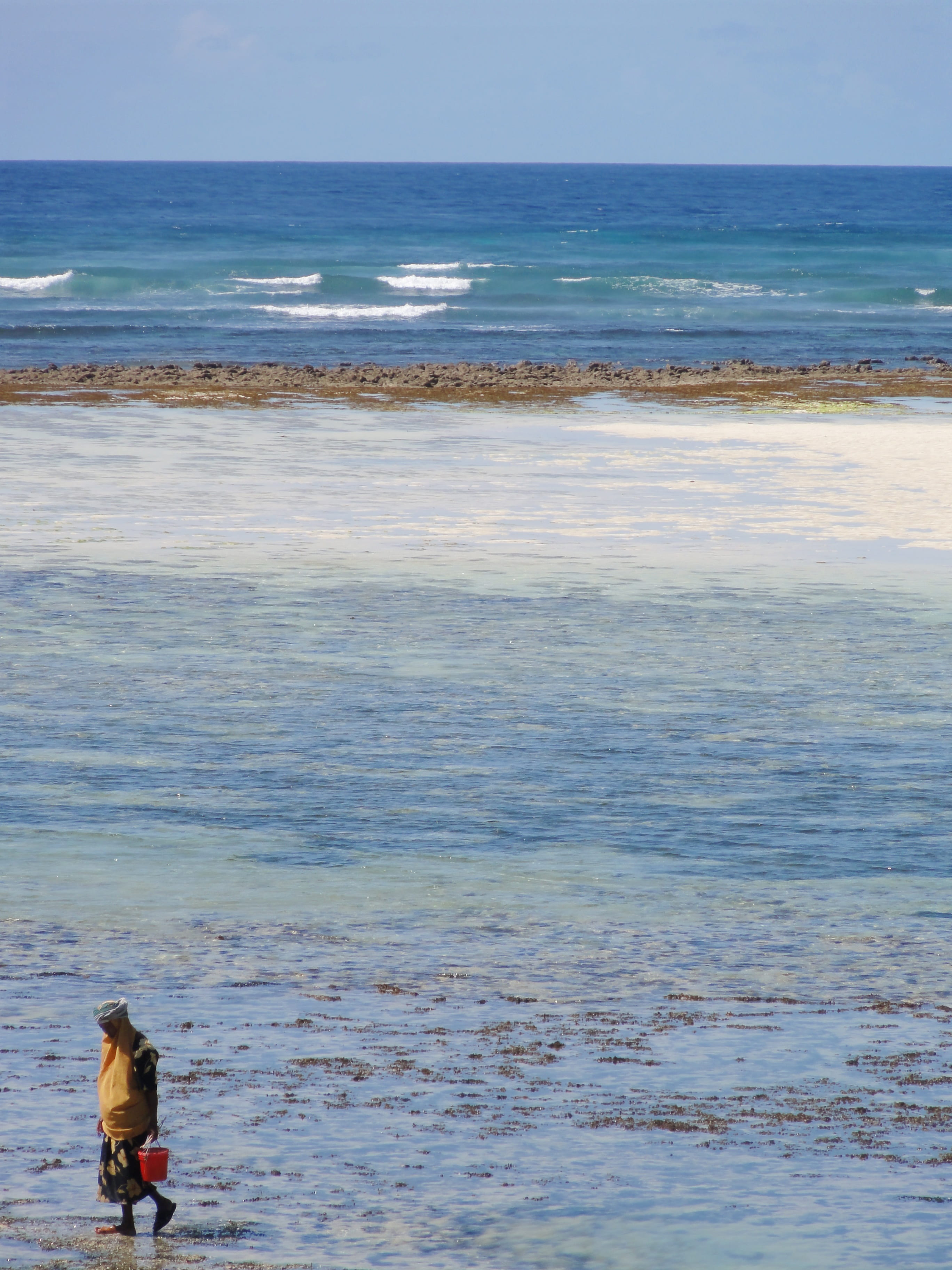beauty in nature, water, collect shells, outdoors, beach, leisure activity, surf, tanzania, one person, scenics - nature, motion, sea, kanga, land, horizon over water, Phone HD Wallpaper