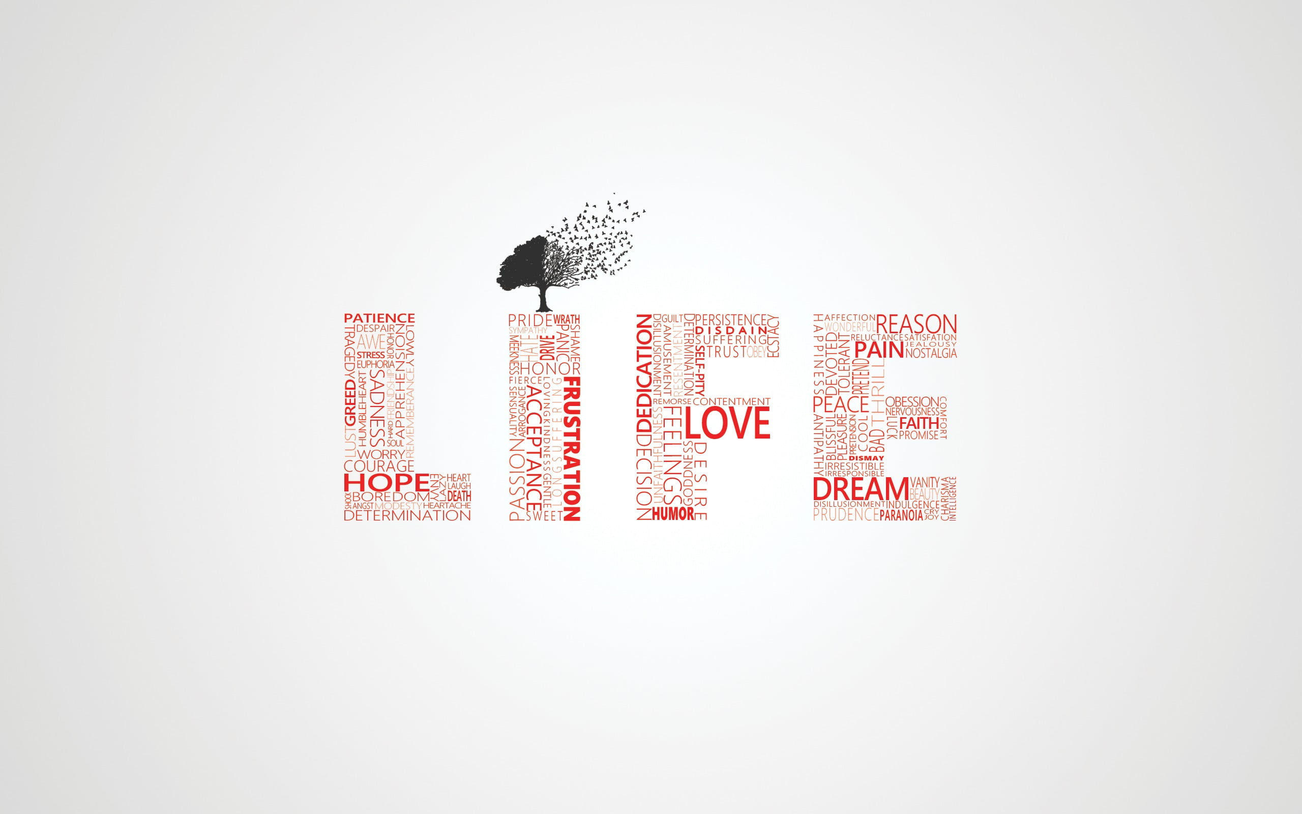 2560x1600, animal wildlife, words, white color, cut out, text, style, business, illustration, design, studio shot, abstract, backgrounds, bird, communication, HD Wallpaper