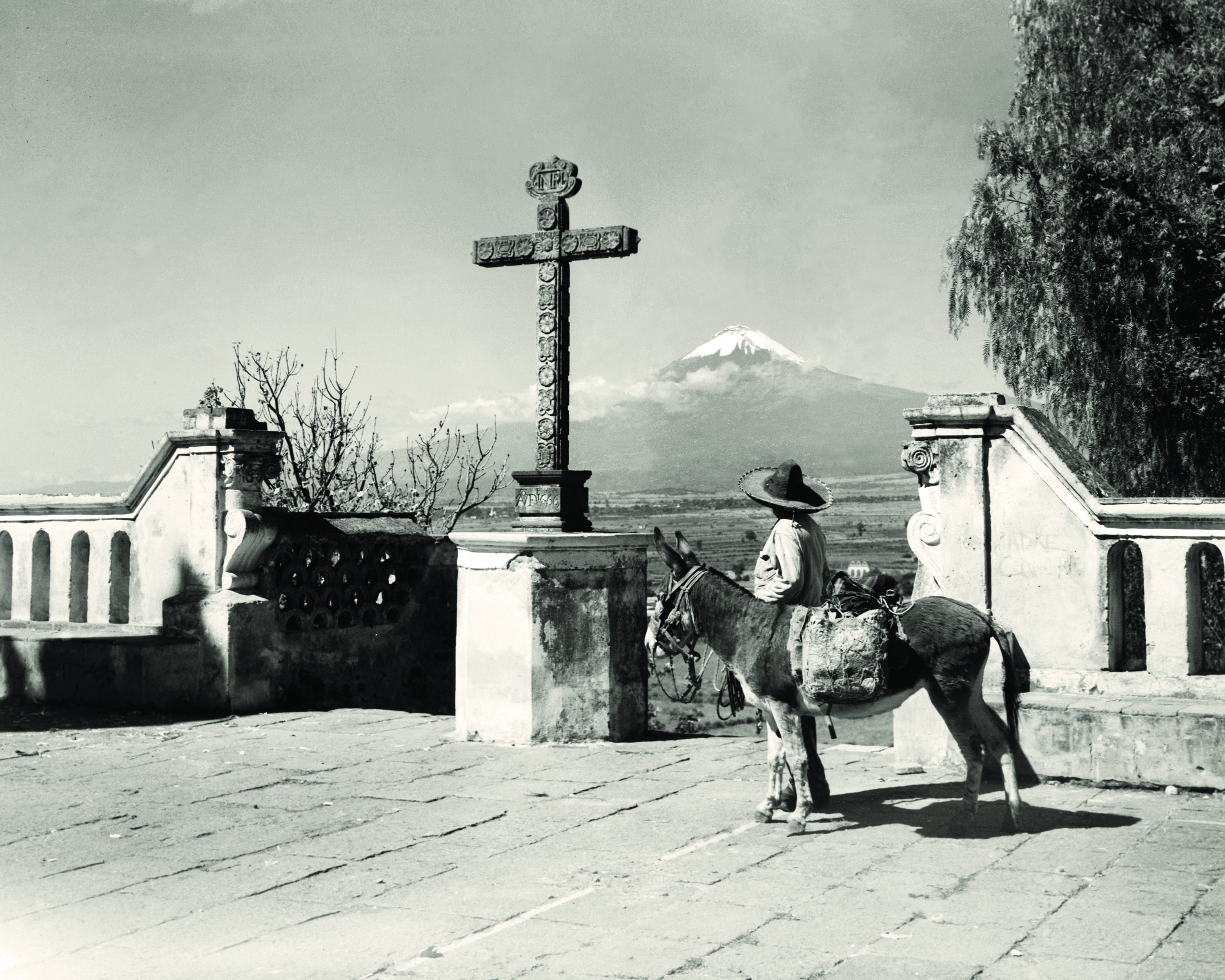 monochrome, 2K, donkey, cross, HD Wallpaper