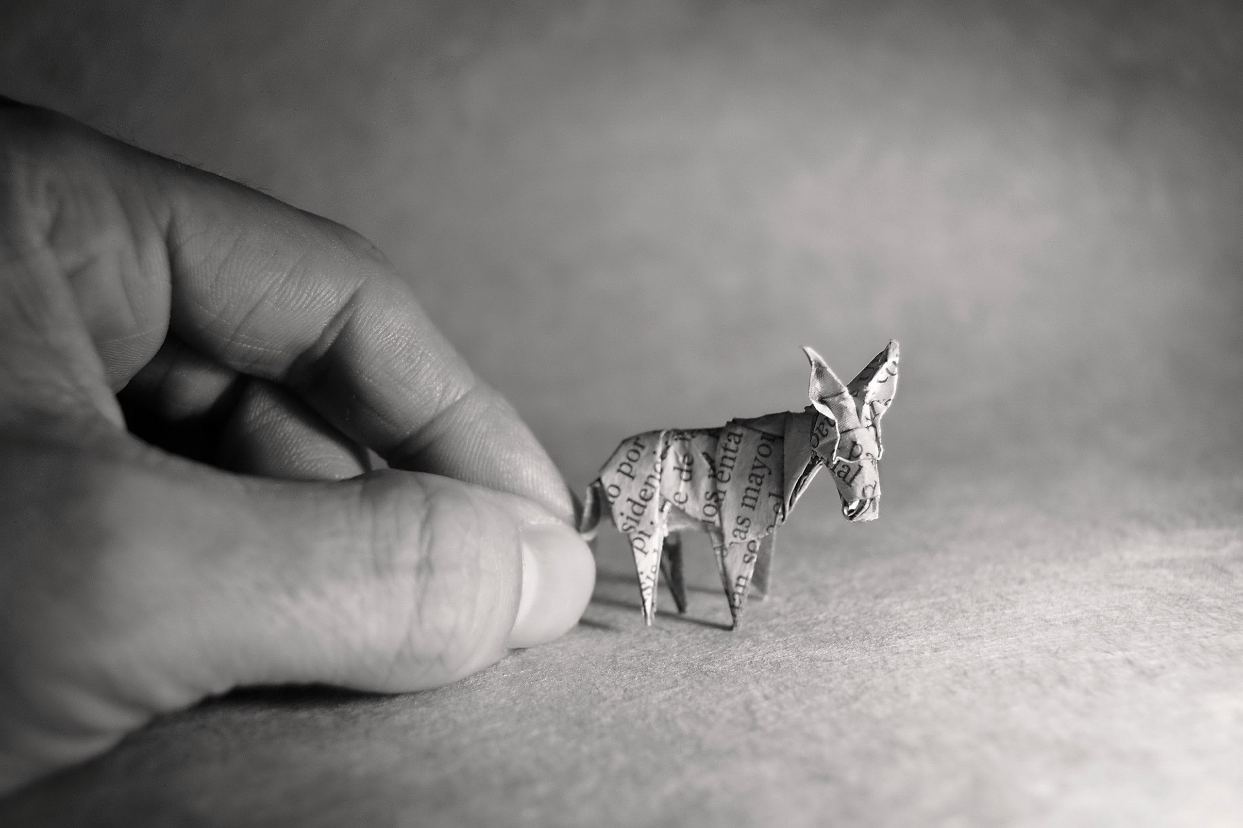 2K, monochrome, hands, origami, paper, donkey, HD Wallpaper