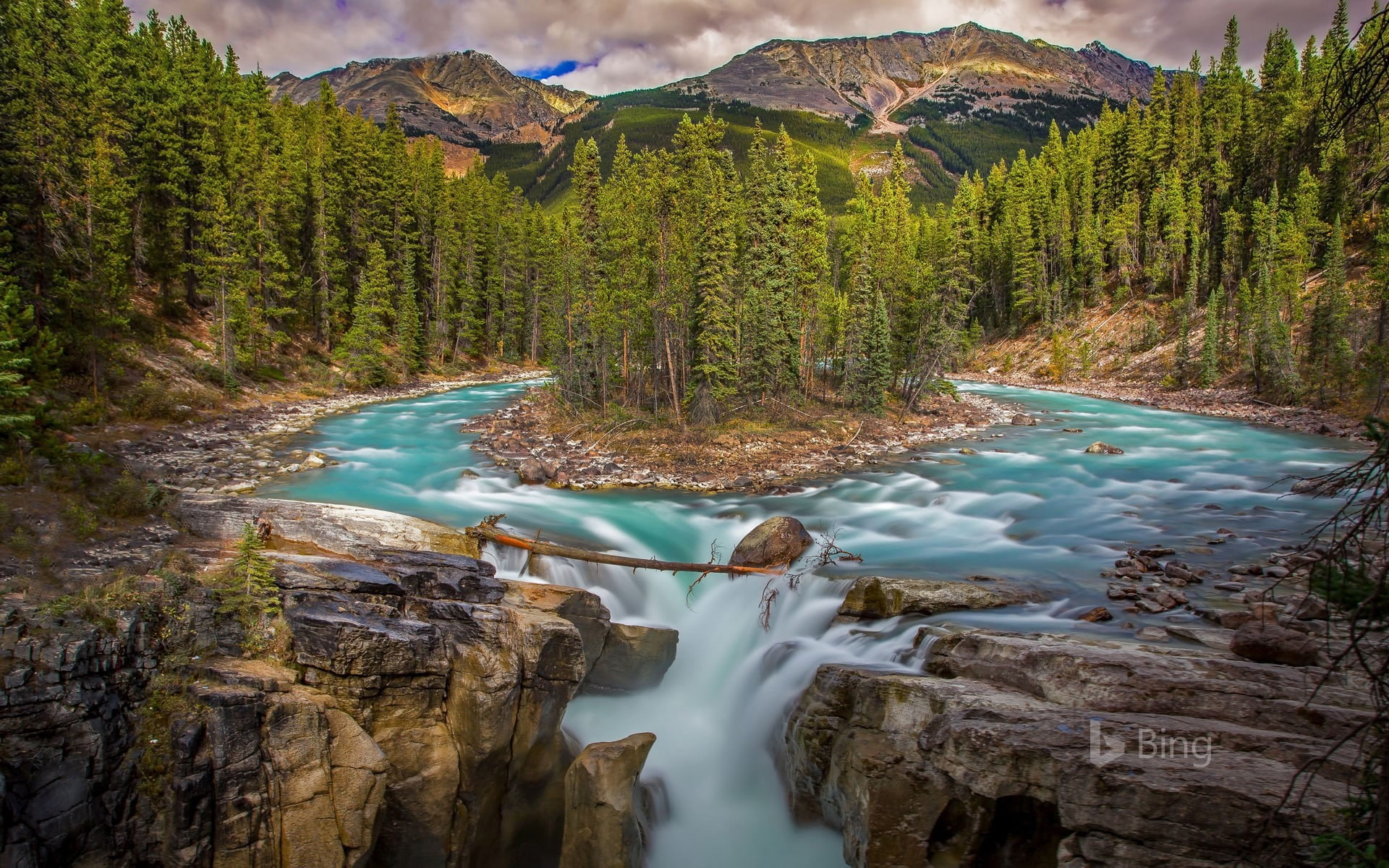 tranquility, plant, river, national, green color, canada, waterfall, day, beauty in nature, sunwapta, no people, stream - flowing water, scenics - nature, HD Wallpaper