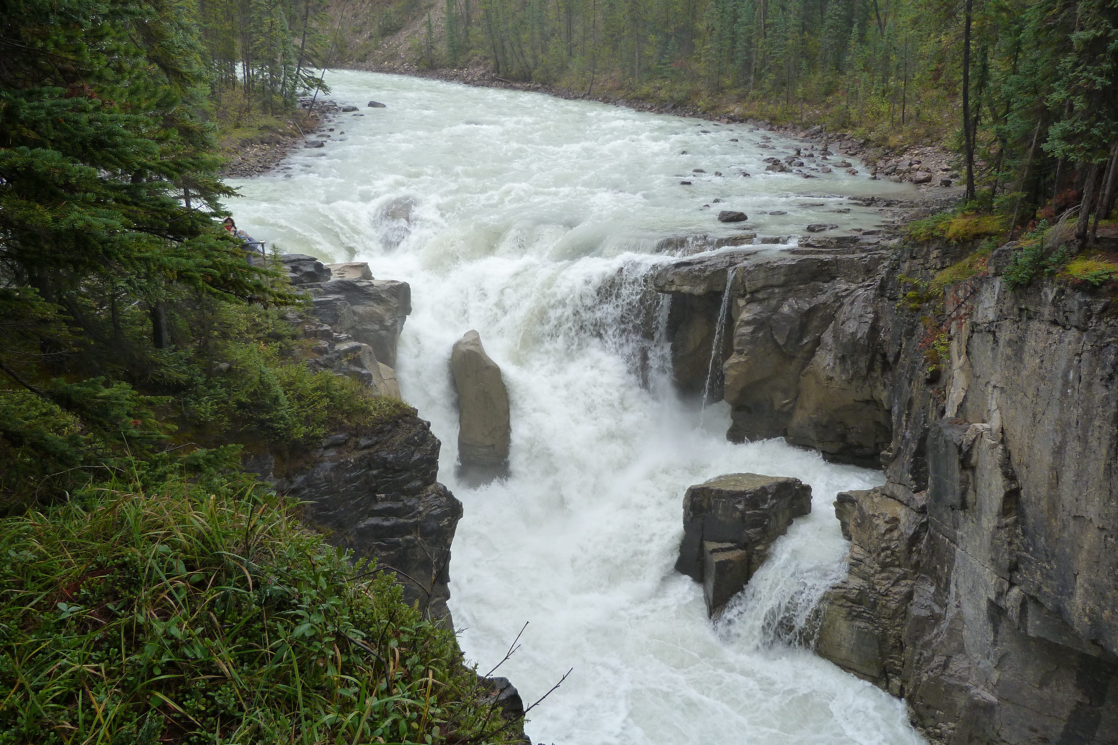 outdoors, nature, tree, rockies, sunwapta falls, alberta, forest, landscape, motion, waterfall, rock, plant, water, power in nature, blurred motion, scenics - nature, HD Wallpaper