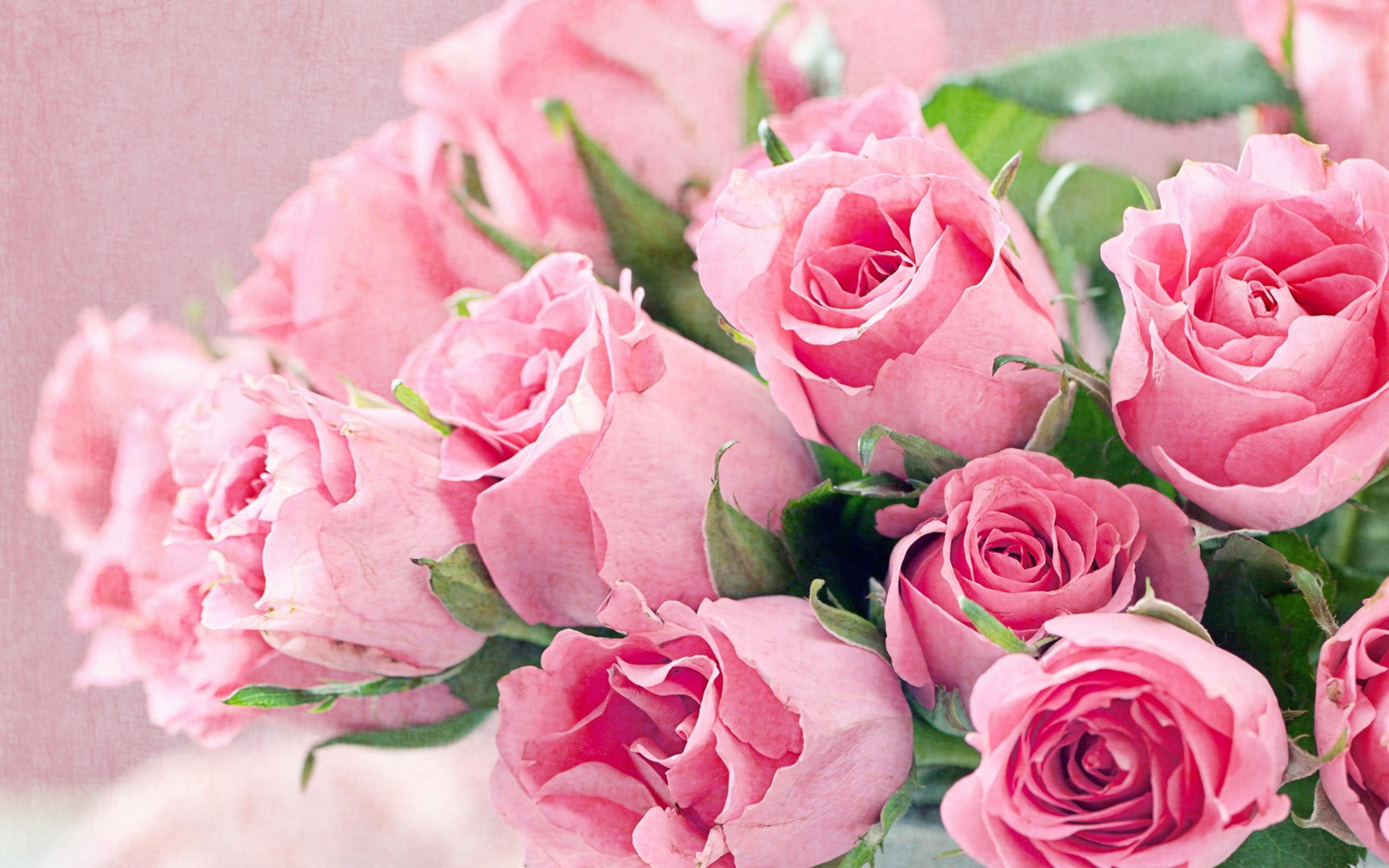 desktop, hd, bouquet, flowers, 2K, fresh, backgrounds, pink, roses, HD Wallpaper