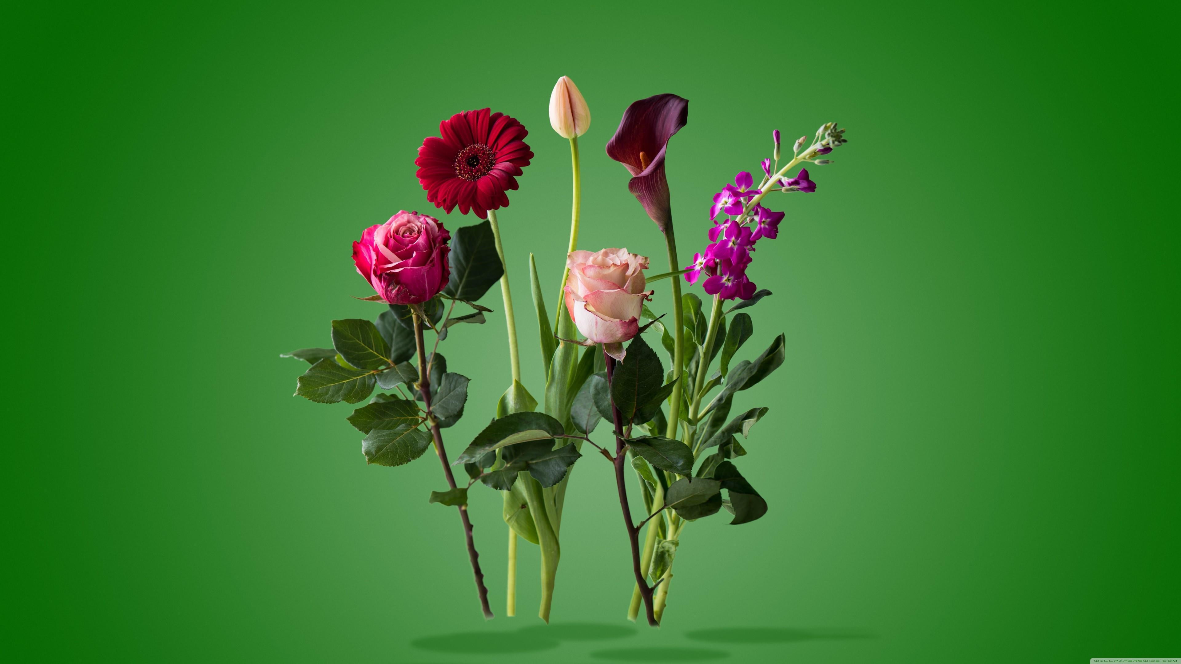 flower, cut flowers, inflorescence, plant part, flower head, flowering plant, nature, green color, close-up, garden roses, indoors, vulnerability, bouquet, HD Wallpaper