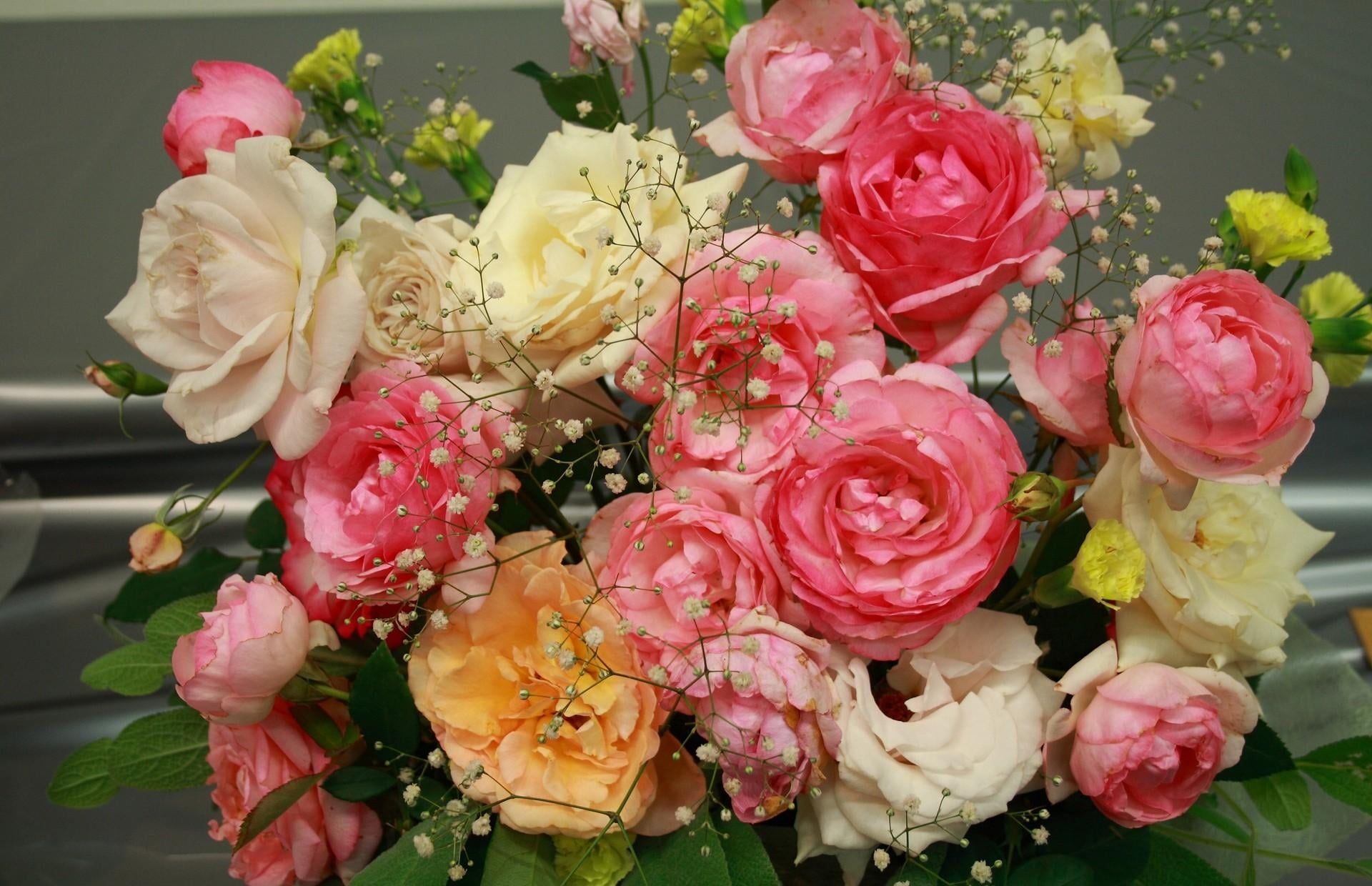 1080P, celebration, freshness, vulnerability, color, bunch of flowers, arrangement, high angle view, no people, love, petal, flowering plant, close-up, HD Wallpaper