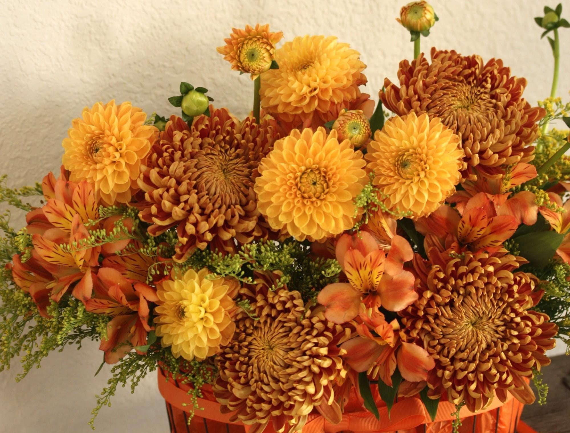 marigold, pattern, leaf, gerbera Daisy, multi Colored, alstroemeria, red, yellow, close-up, flowering plant, vulnerability, pollen, botany, beauty In Nature, HD Wallpaper