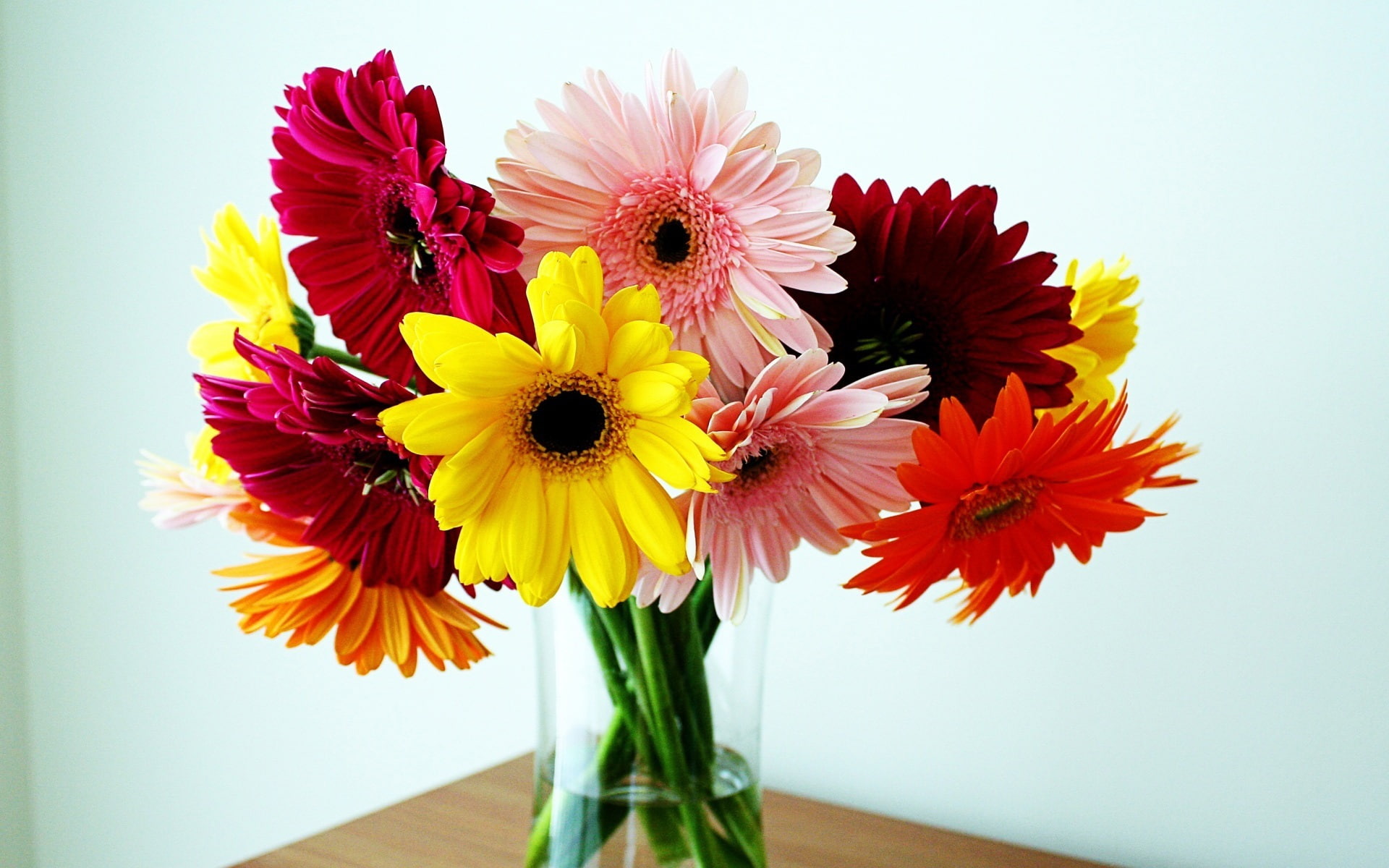 Chrysanthemum, Vase, 1080P, Bouquet, HD Wallpaper