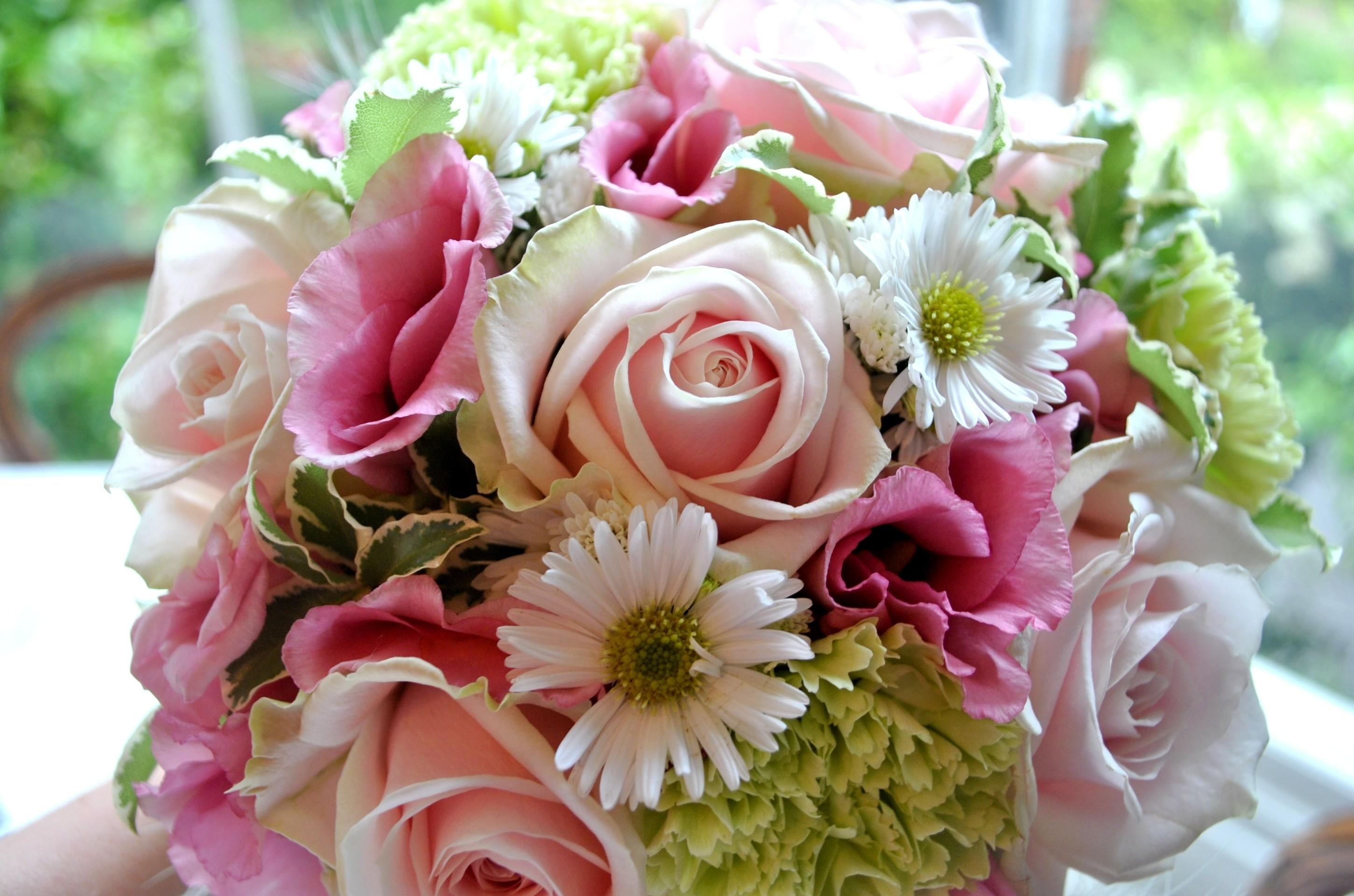 celebration, roses, love, romance, white, inflorescence, summer, pink Color, 2K, no people, beauty, bride, bunch of flowers, wedding, flower Head, decoration, HD Wallpaper