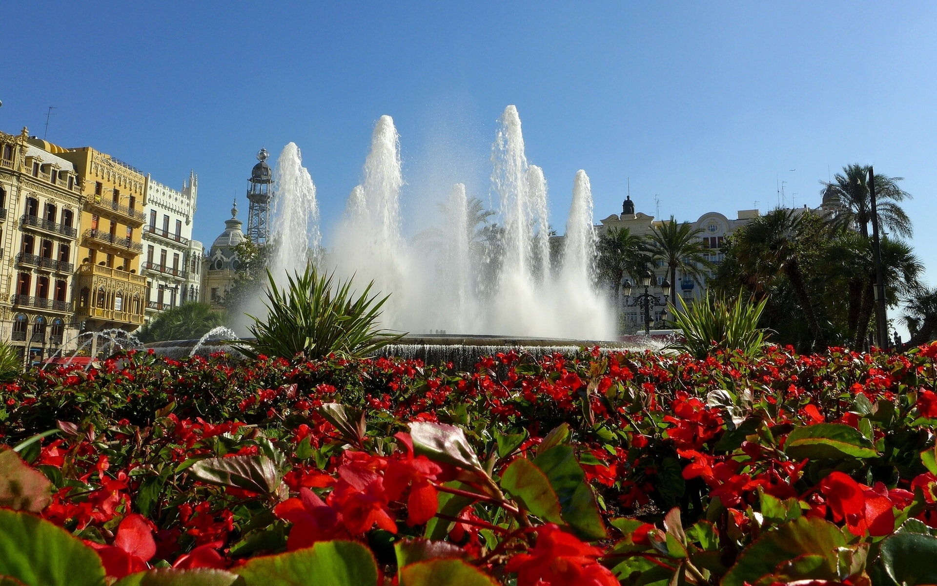 fountain, flower, tree, no people, beauty in nature, nature, long exposure, field, spraying, power in nature, water, growth, begonias, built structure, HD Wallpaper