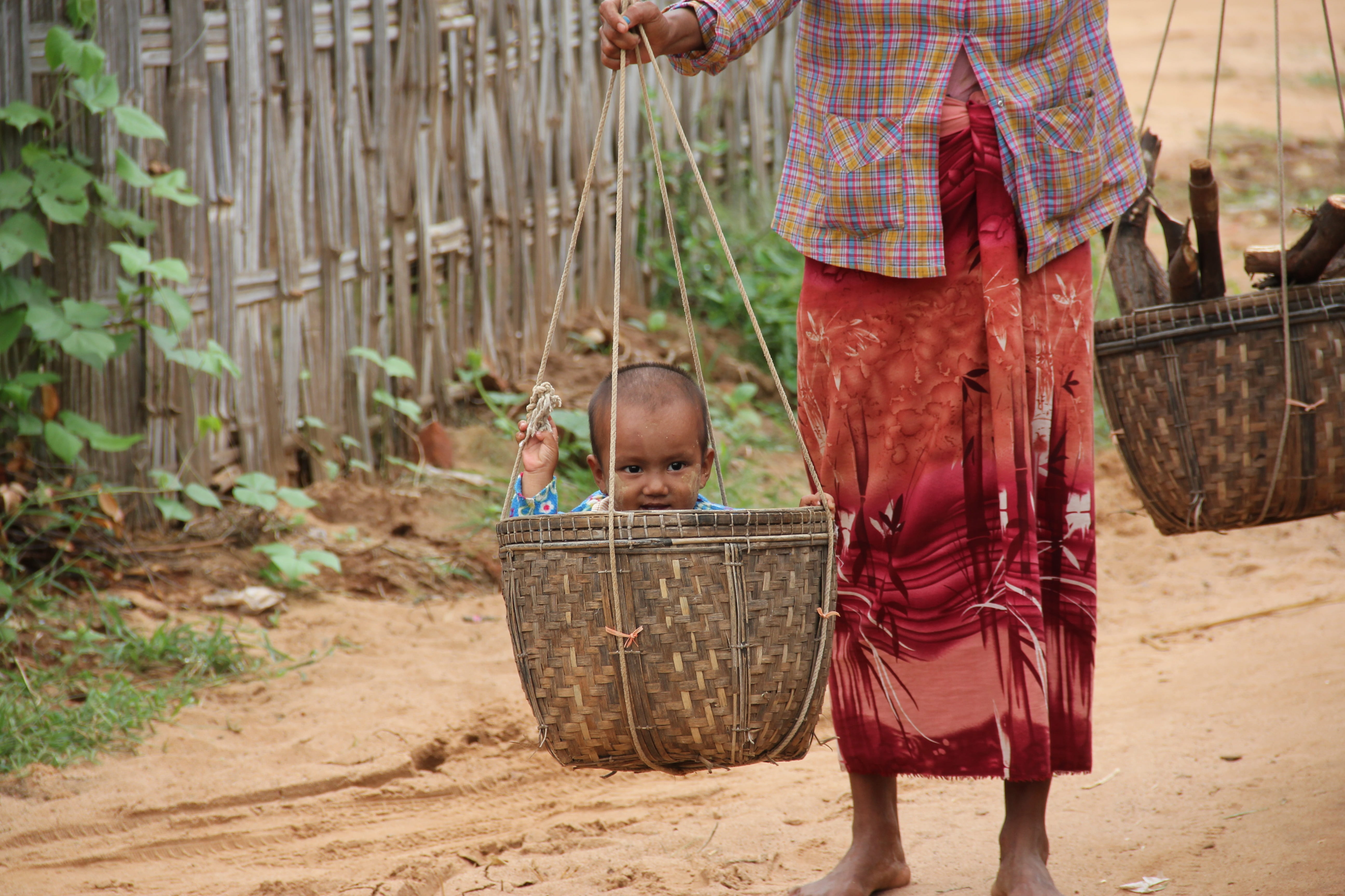farmer, offspring, child, domestic animals, farm, travel, one person, males, one animal, outdoors, basket, local life, asia, childhood, nature, inside, HD Wallpaper