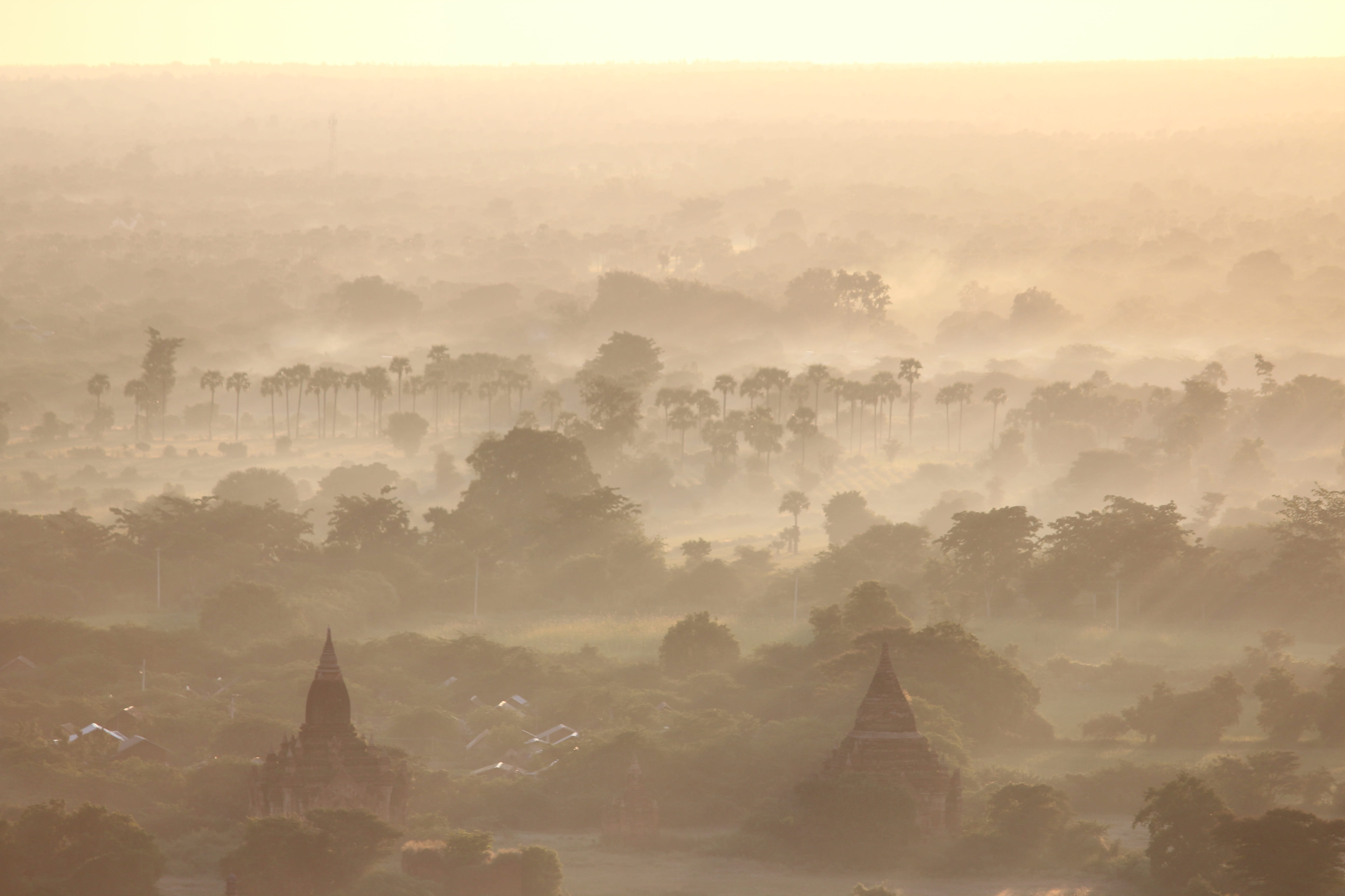 Mood, Fog, cityscape, sun, scenics, history, environment, 5K, colourless, atmosphere, tree, ancient civilization, ancient, place of worship, morning, early in the morning, HD Wallpaper