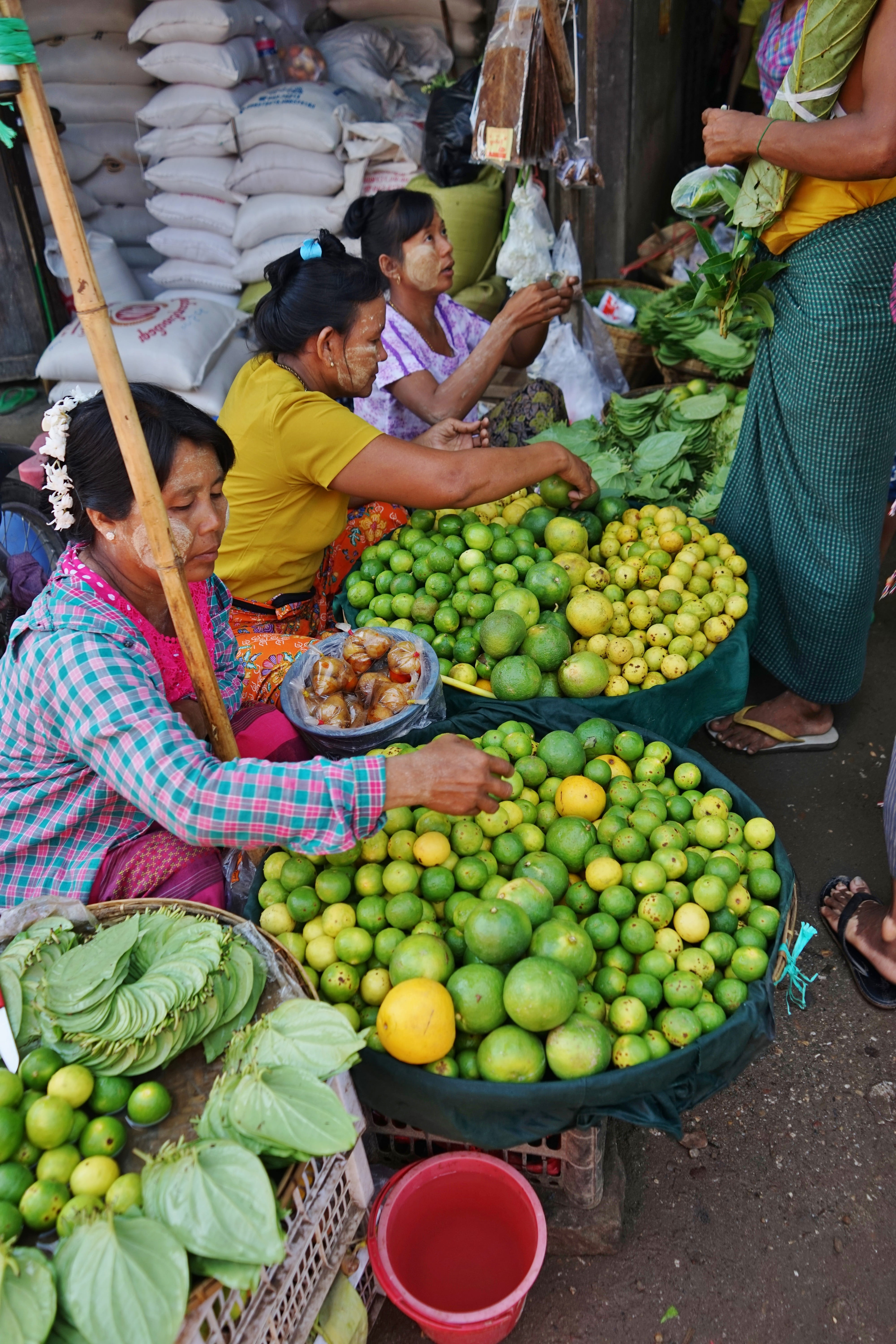 bagan, buying, vendor, city, food and drink, people, woman, fruit, freshness, wellbeing, food, traditional, real people, men, culture, healthy eating, sale, Phone HD Wallpaper