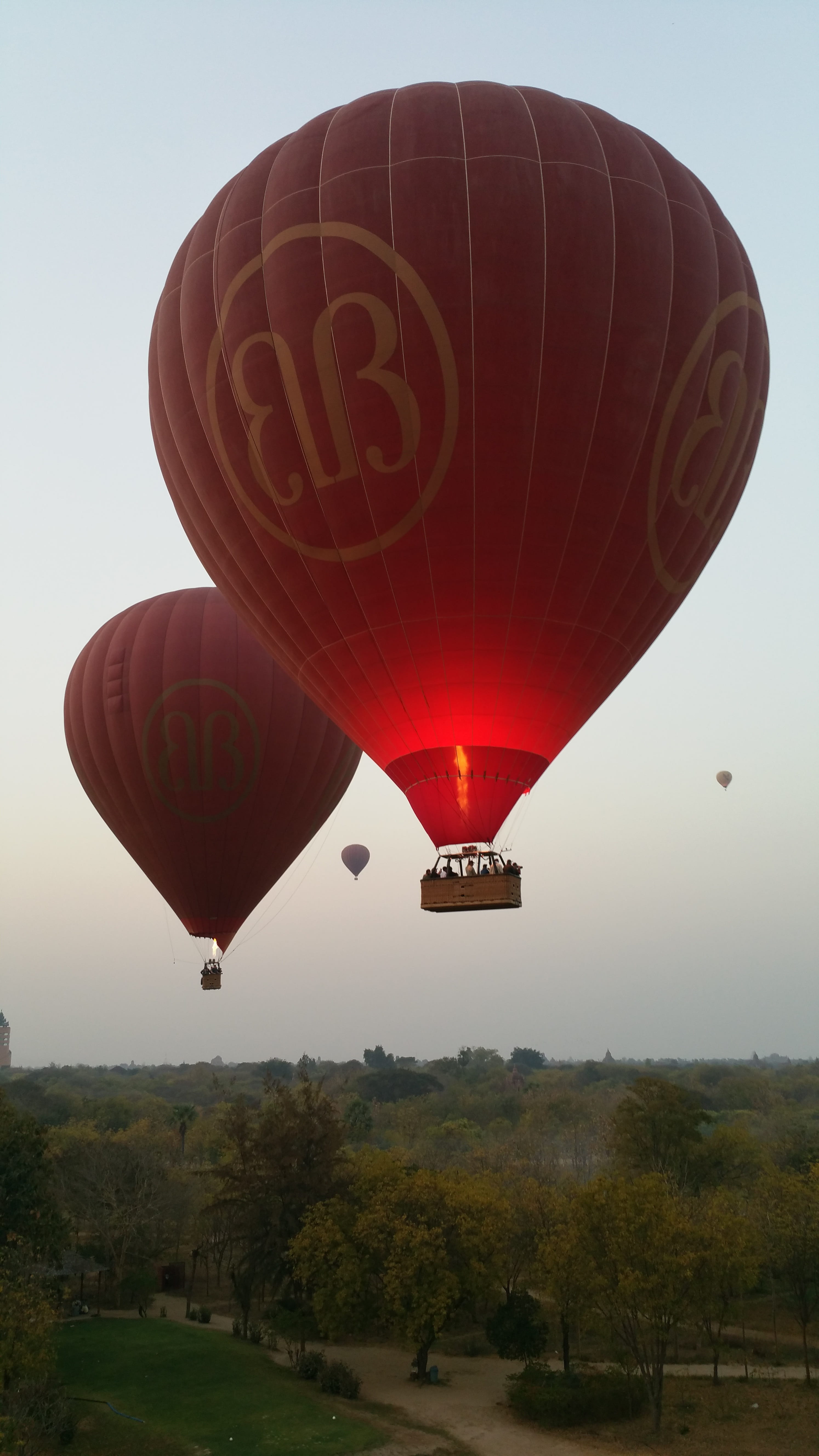 ballooning, motion, travel, hot air balloon ride, freedom, ballooning festival, hot air balloon rides, hot air balloon, clear sky, balloon, fire, morning, Phone HD Wallpaper