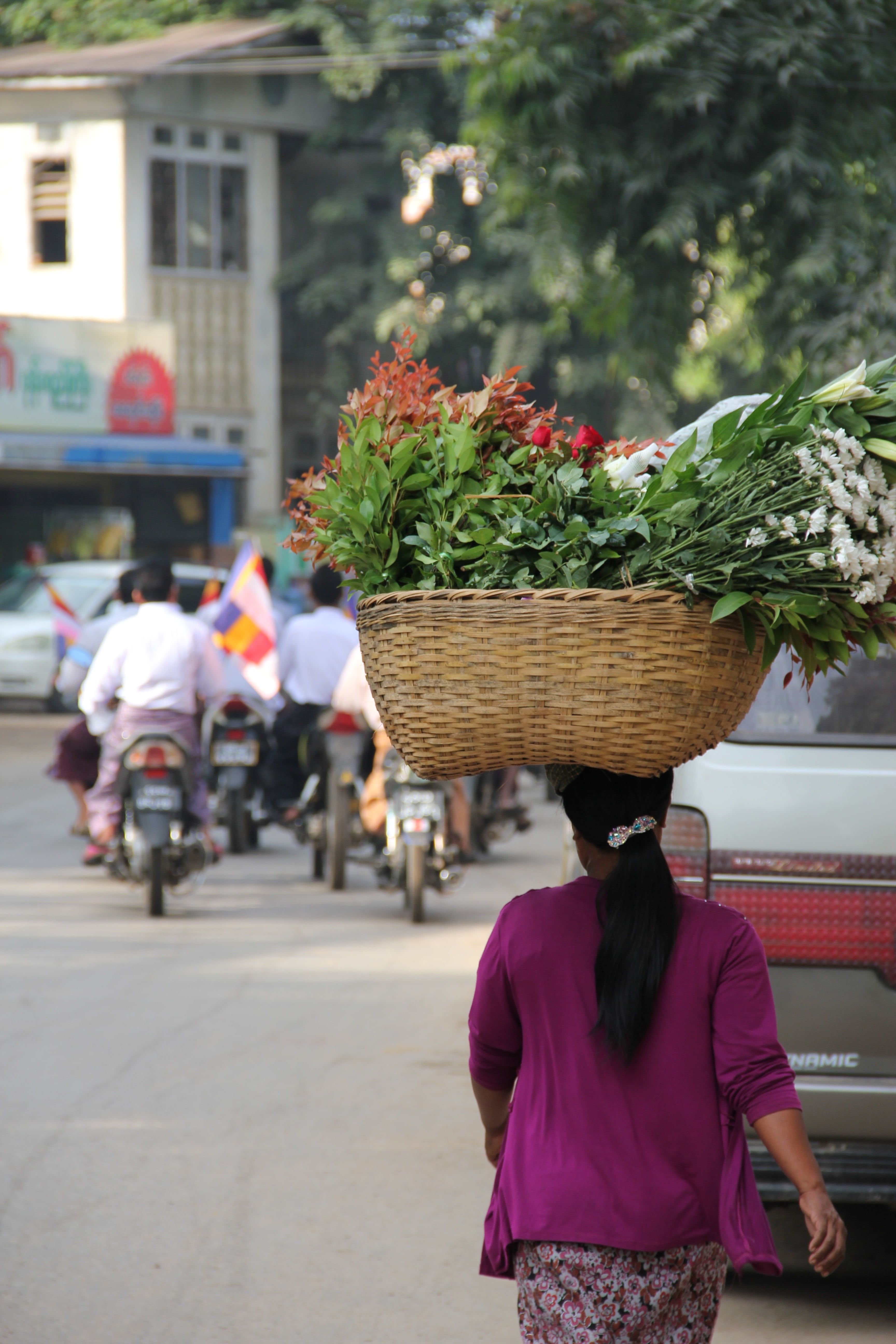 lifestyles, basket, transportation, real people, flowering plant, day, myanmar, flower, asia, people, bicycle, city, one person, riding, travel, focus on foreground, Phone HD Wallpaper