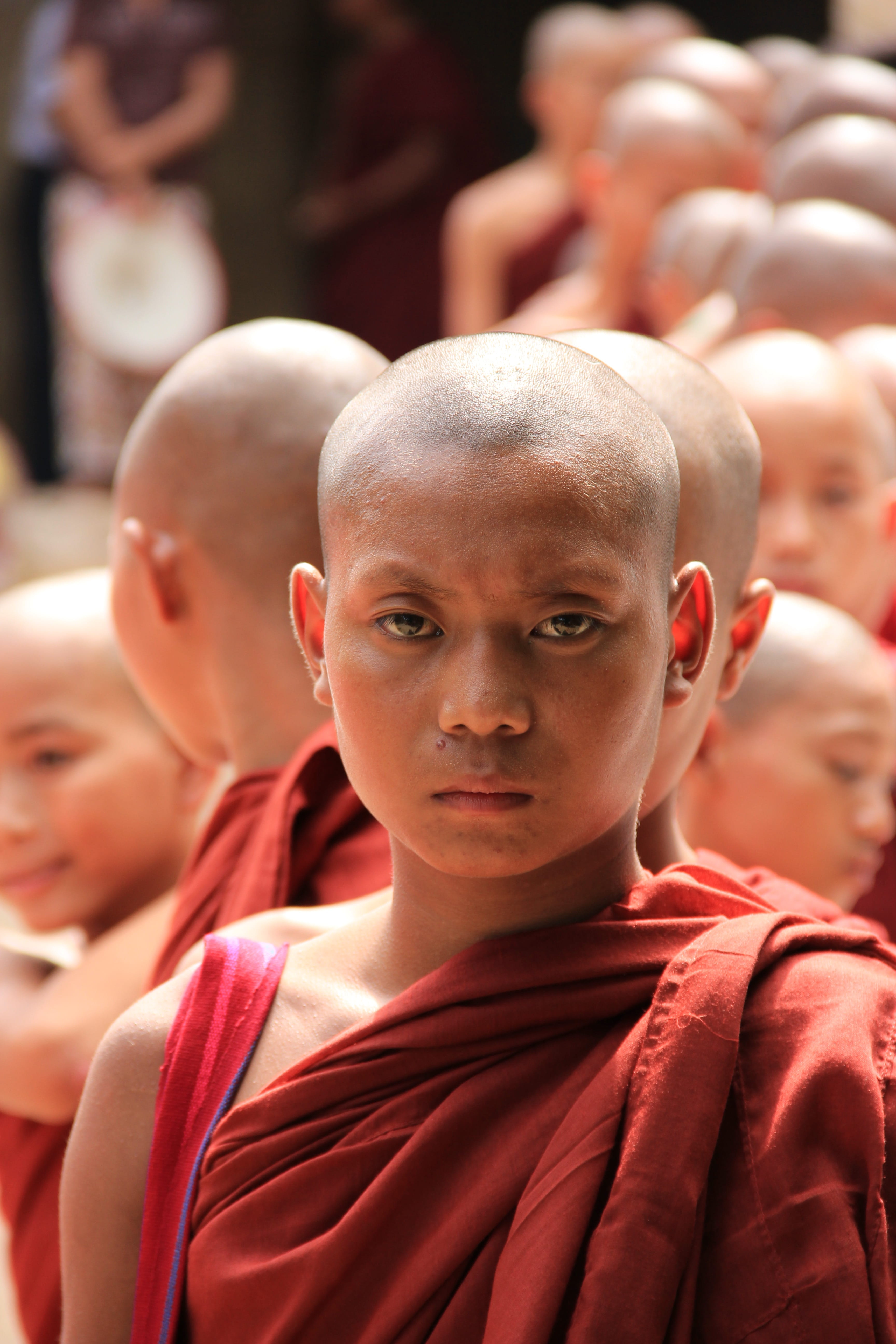 headshot, bagan, real people, focus on foreground, close-up, day, portrait, men, boys, child, teenager, red, males, people, 5K, monk, myanmar (burma), Phone HD Wallpaper