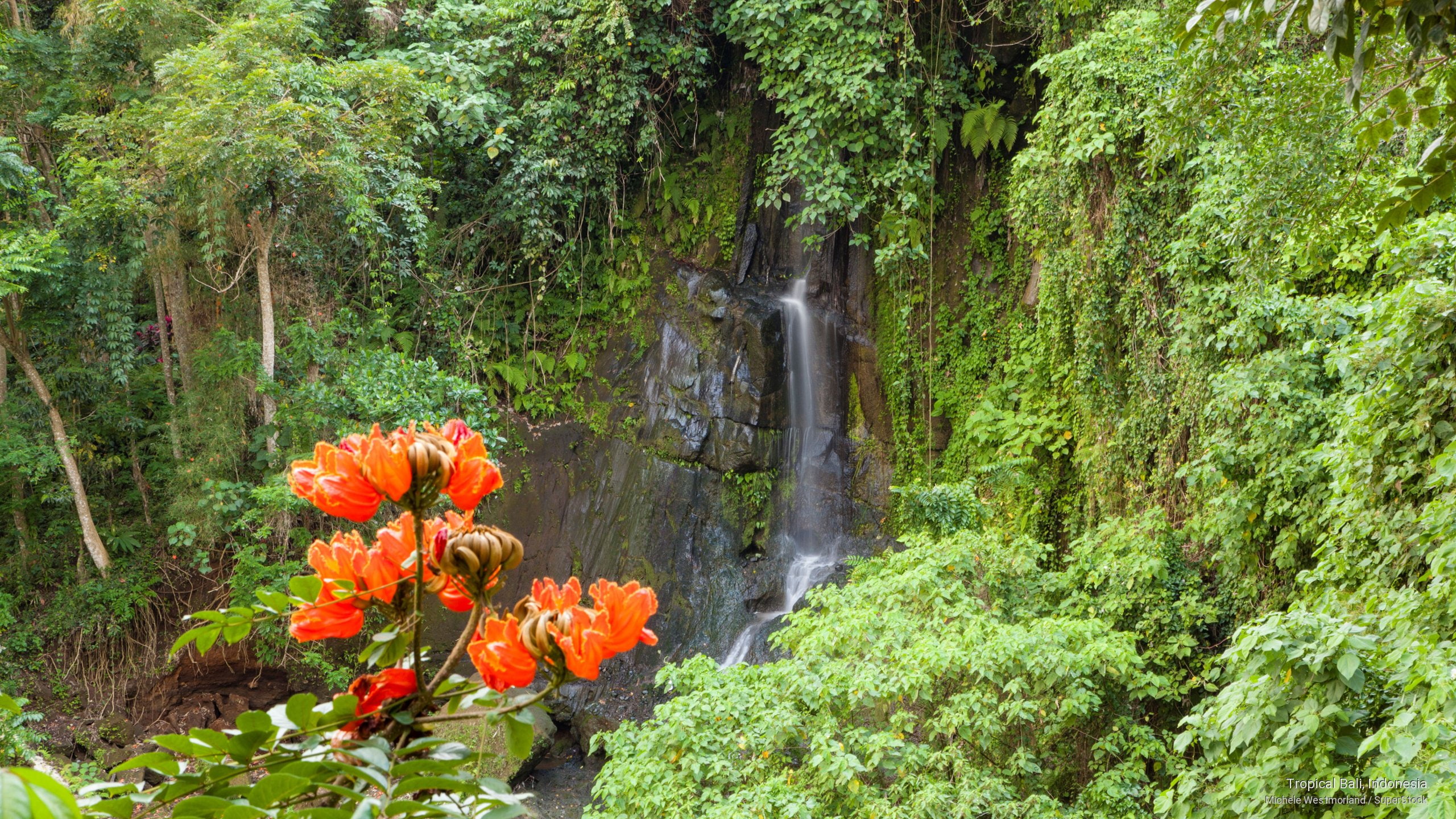 bali, tropical, 2K, indonesia, Asia, HD Wallpaper