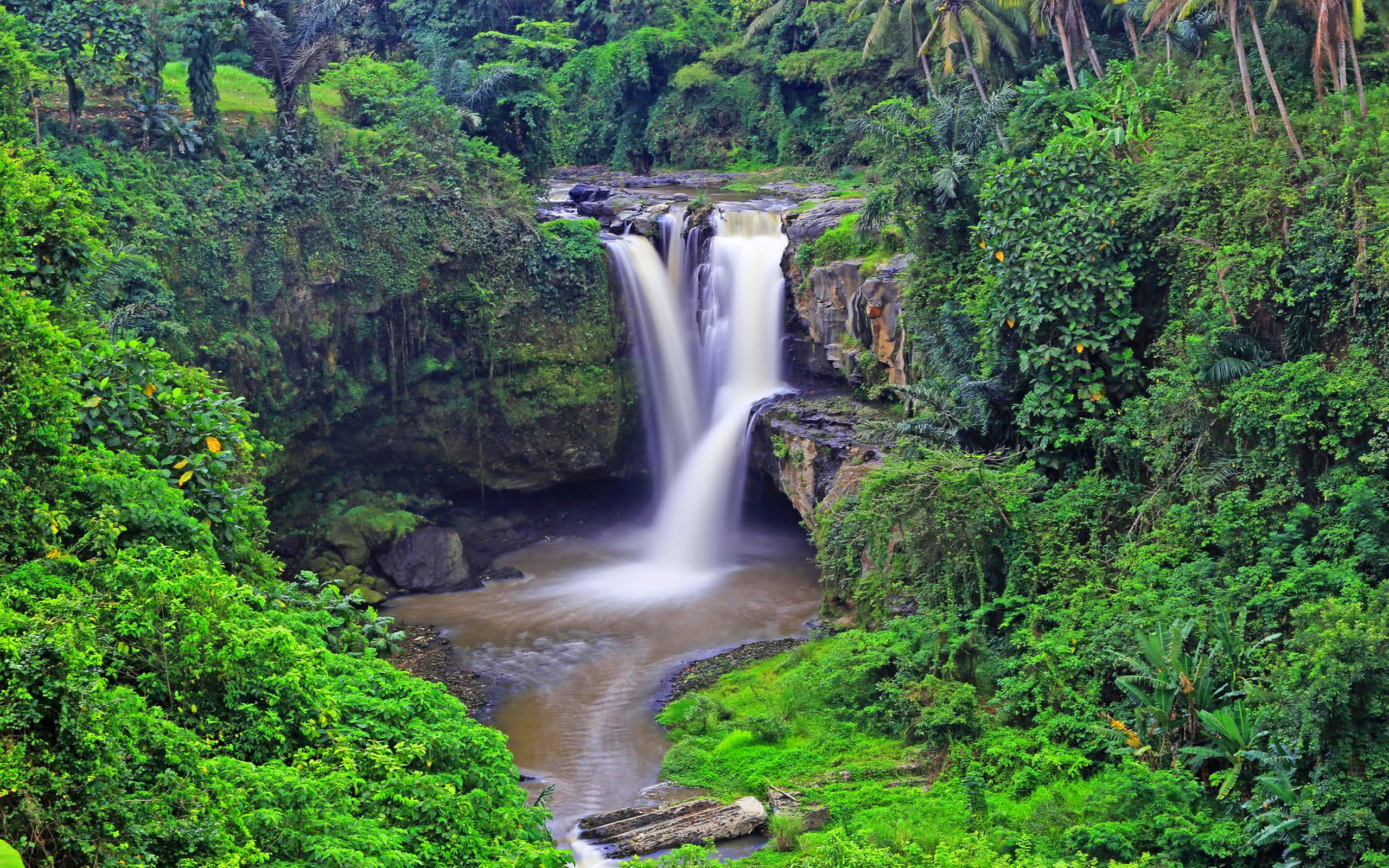 2K, tablet, waterfall, ubud, forest, tegenungan, vegetation, mobile, pc, rock, tropical, hd, desktop, palms, green, indonesia, HD Wallpaper