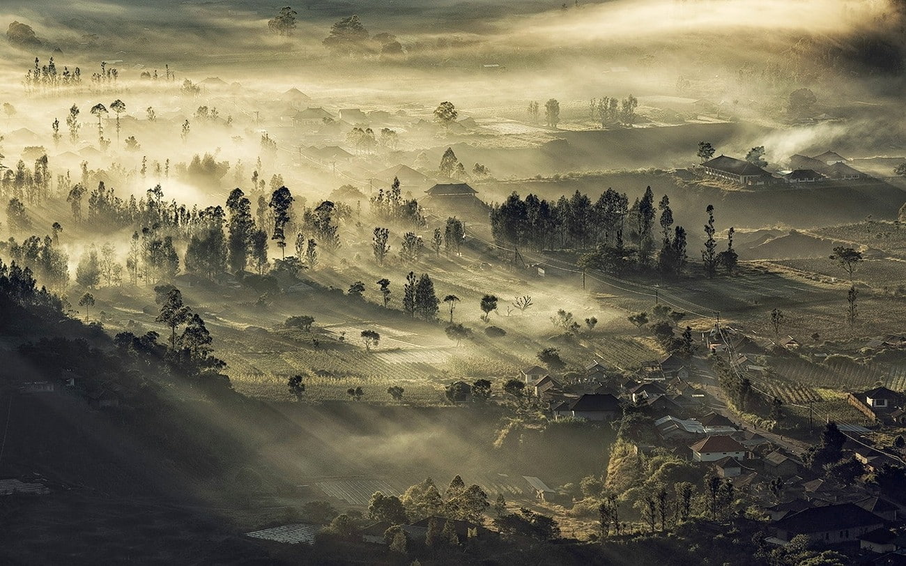 landscape, valley, 720P, trees, village, indonesia, sunrise, nature, field, mist, HD Wallpaper