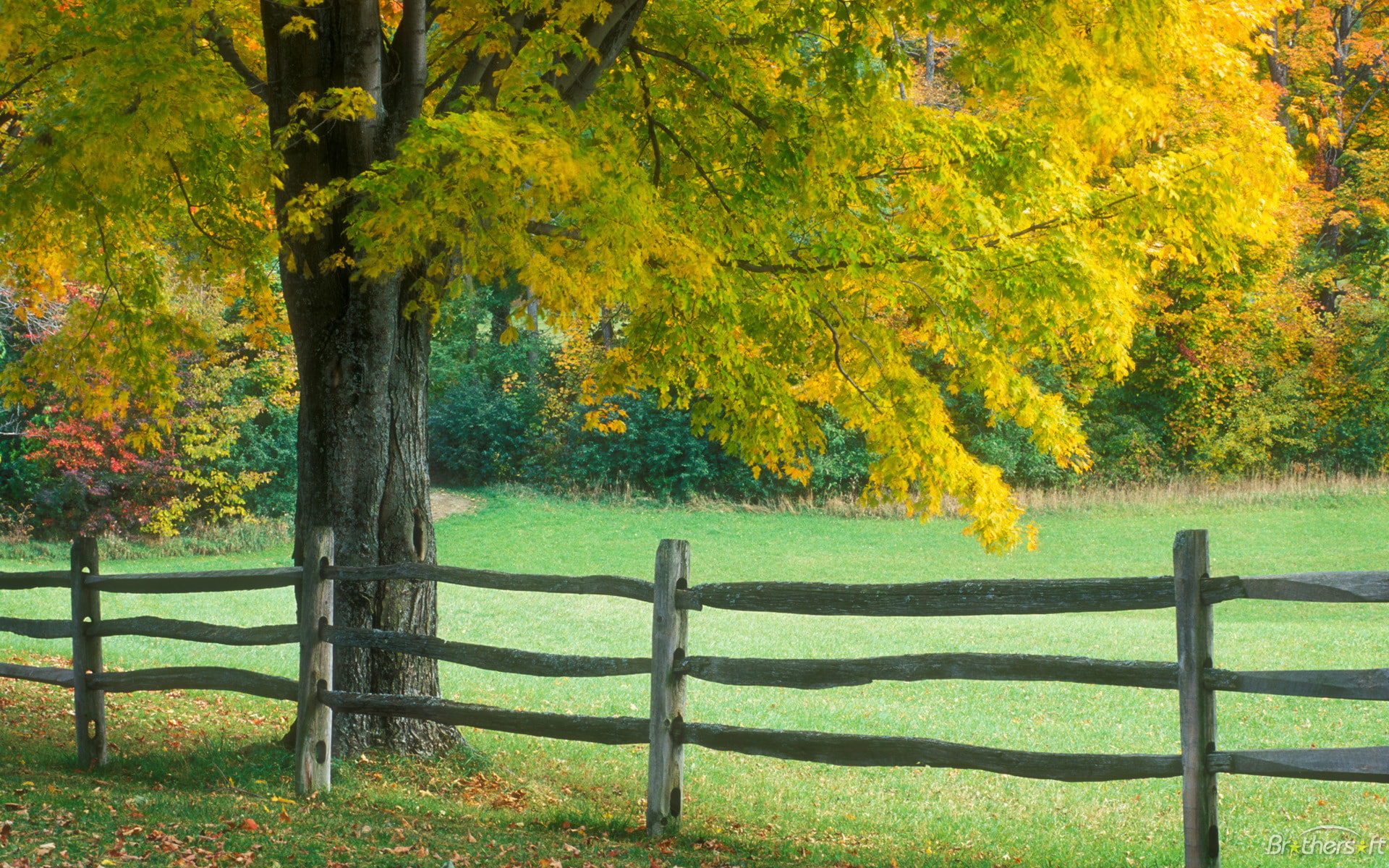 themes, Windows, nature, regional, desktop, 1920x1200, 1080P, HD Wallpaper