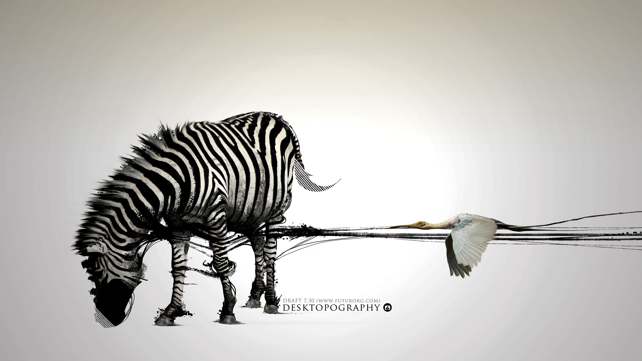 nature, studio shot, zoology, illustration, zebra, 2K, digital composite, copy space, animals in the wild, vertebrate, flying, two animals, digital art, HD Wallpaper