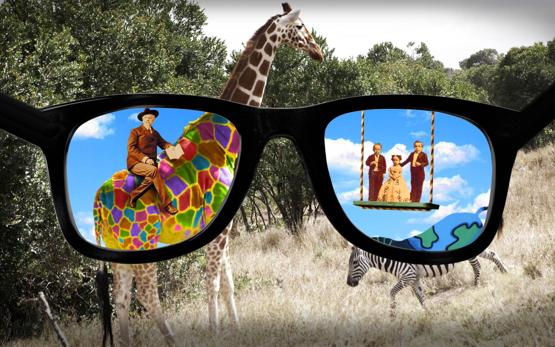 land, women, plant, shape, day, glass - material, transparent, leisure activity, people, lifestyles, zebras, glasses, adult, sky, representation, reflection, HD Wallpaper