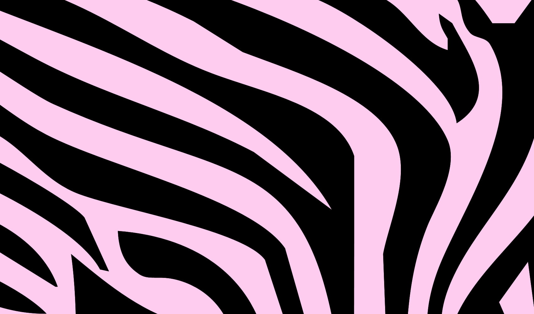 720P, animals, abstract, skin, zebra, lines, black, HD Wallpaper