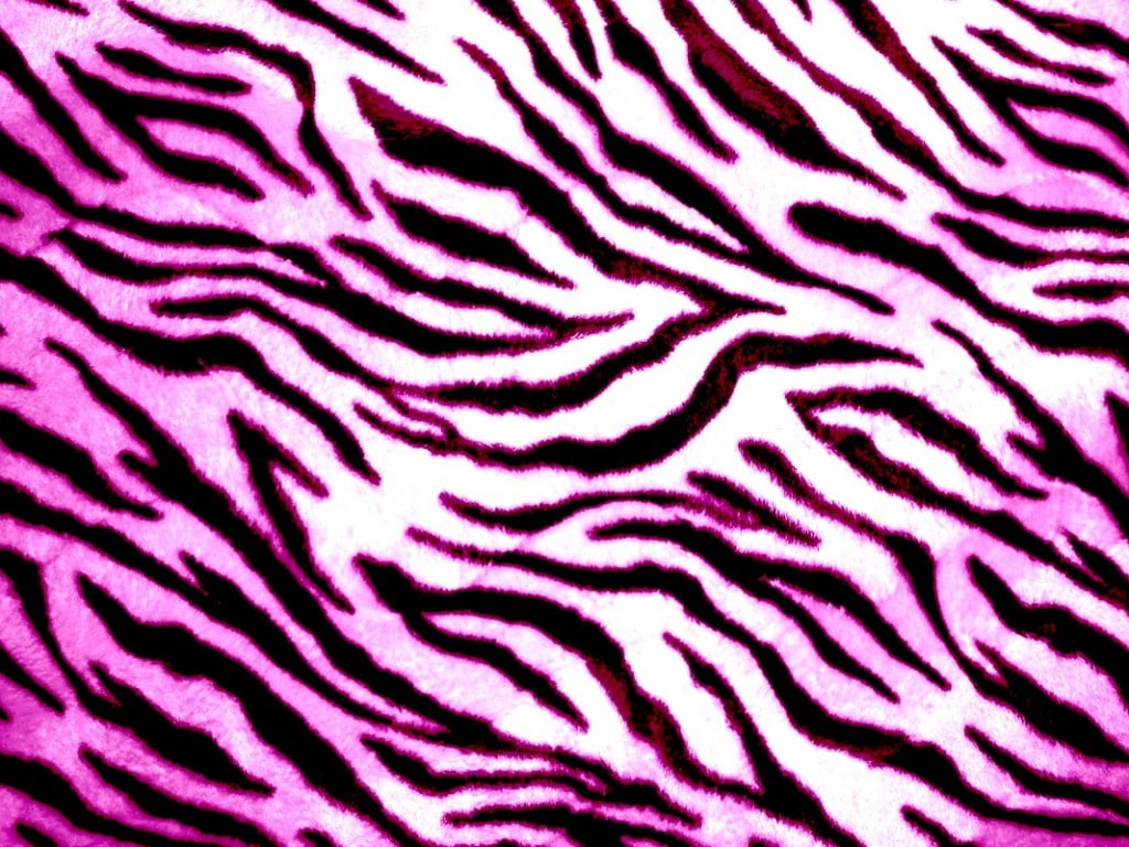 zebra, skin, animals, 480P, digital, lines, abstract, art, digital art, HD Wallpaper