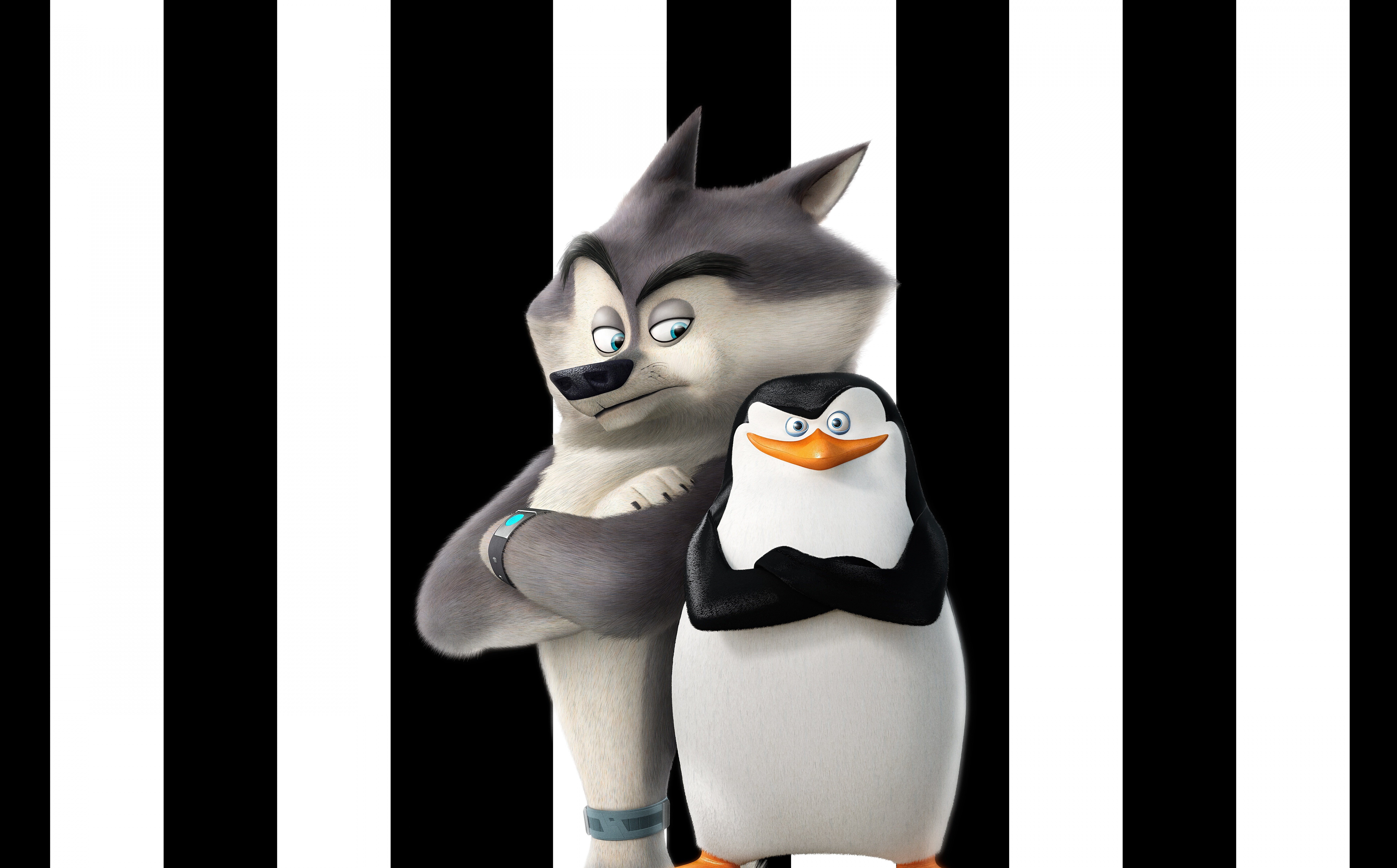 domestic animals, mask, illustration, penguin, indoors, representation, Penguins, Classified, obscured face, mammal, creativity, disguise, no people, Cute, HD Wallpaper