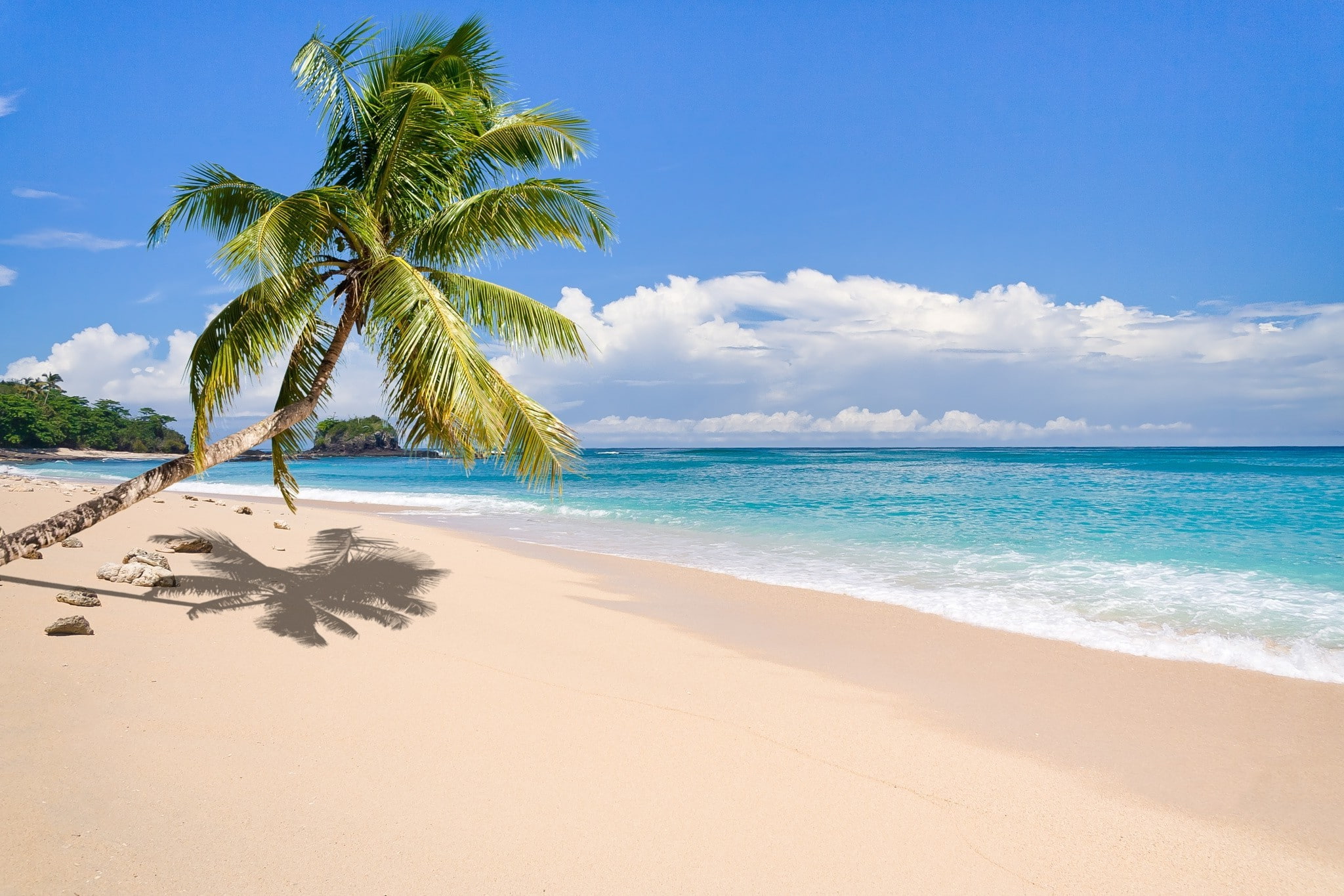 no people, sky, beauty in nature, 1080P, water, tranquil scene, tropical tree, horizon, sea, tree, tranquility, beach, horizon over water, turquoise colored, HD Wallpaper